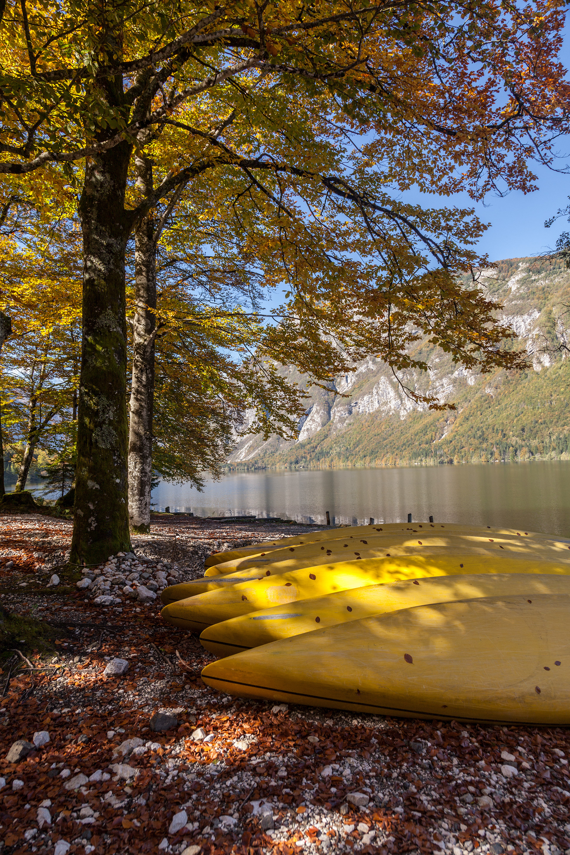 Ősz a Bohinji-tónal 1.