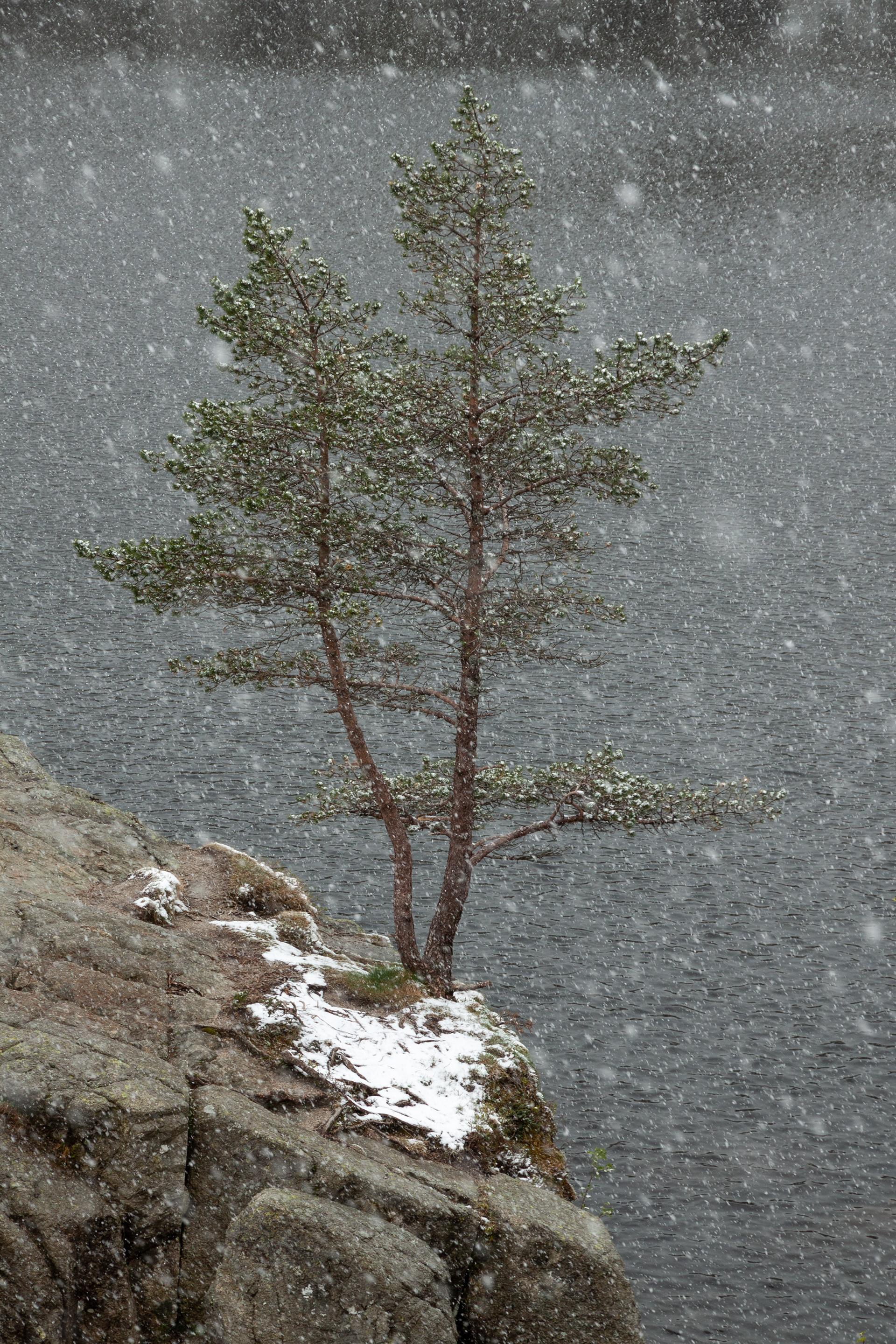 Májusi hóeseés Norvégiában