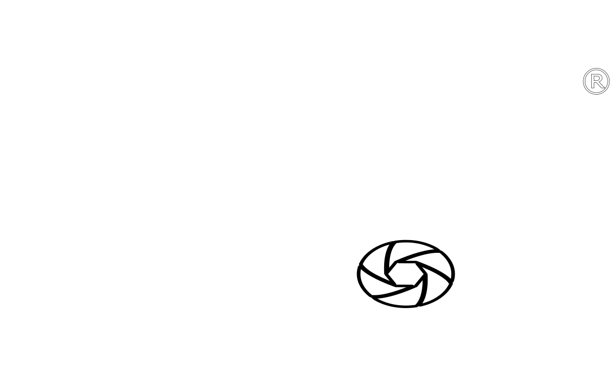 Swell Shots Photography