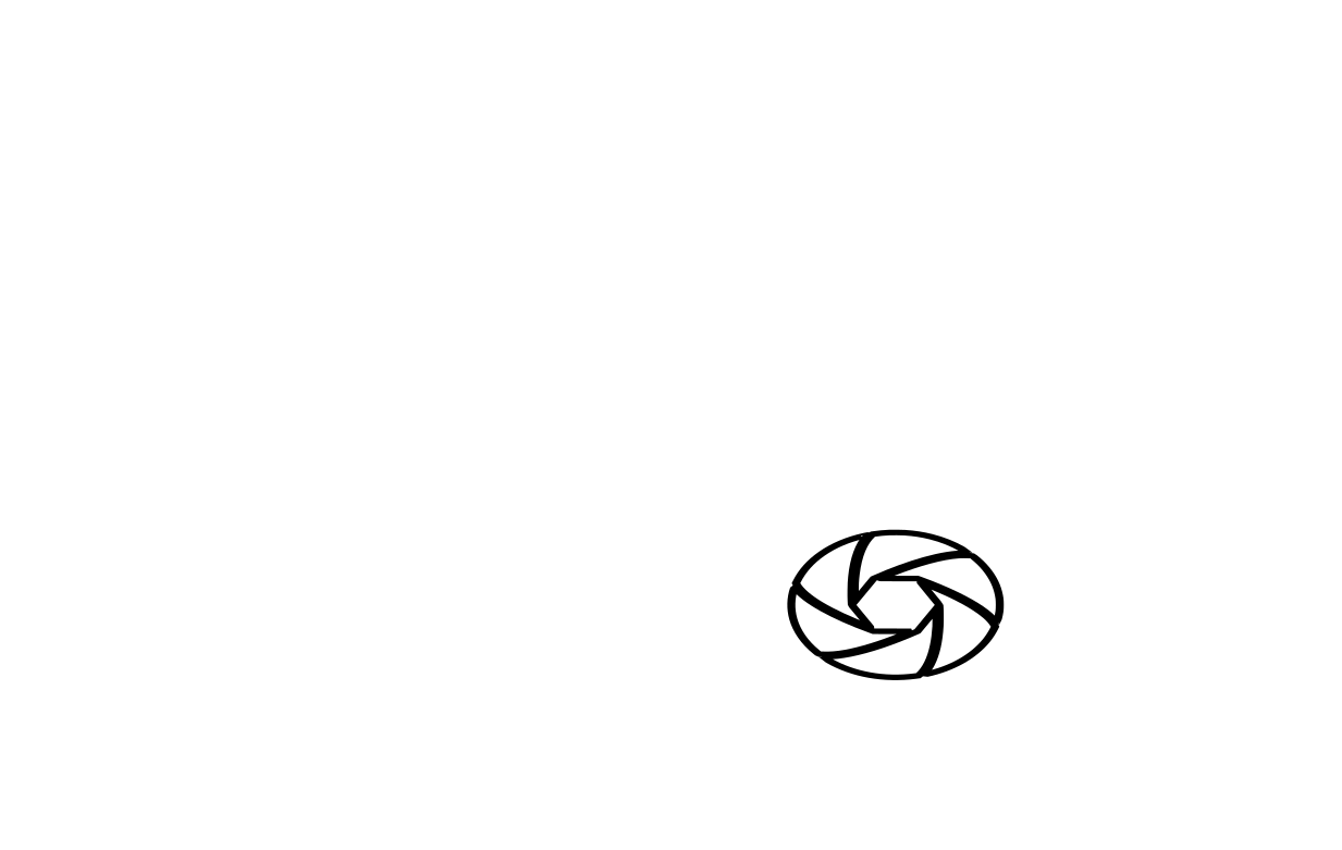 Swell Shots Photography