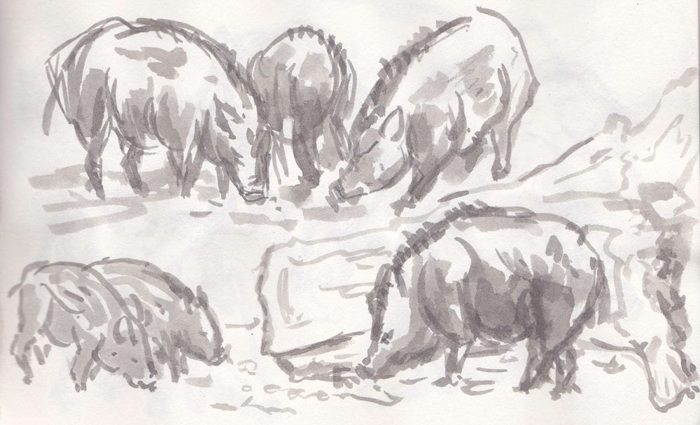 Moar boar