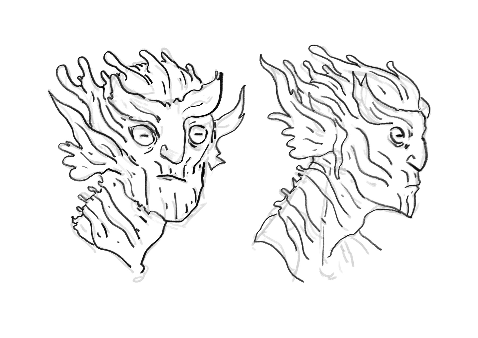 Head