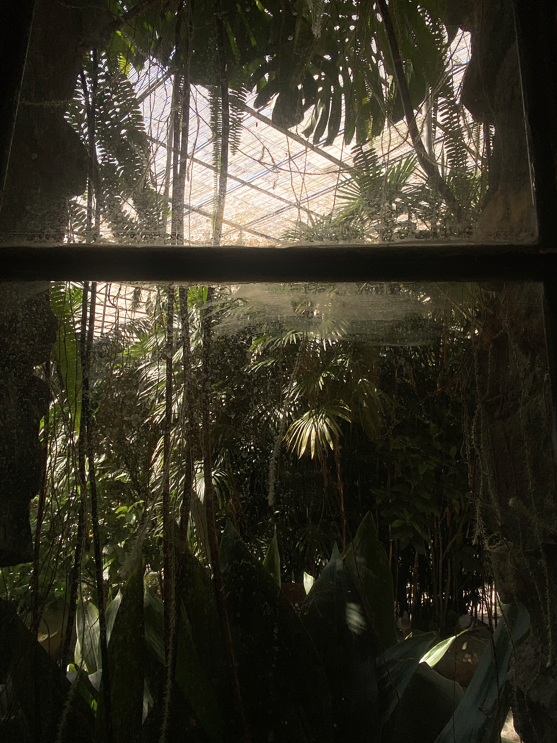 Dark Garden 