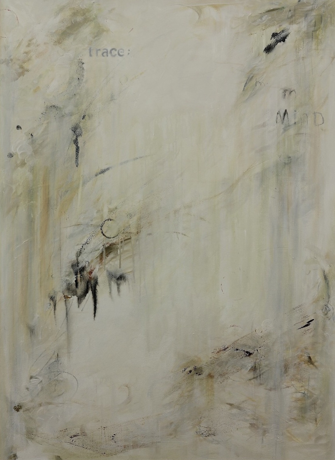 Trace No. 16b (Mind) SOLD Oil/mixed media/canvas, 44 x 32 in.