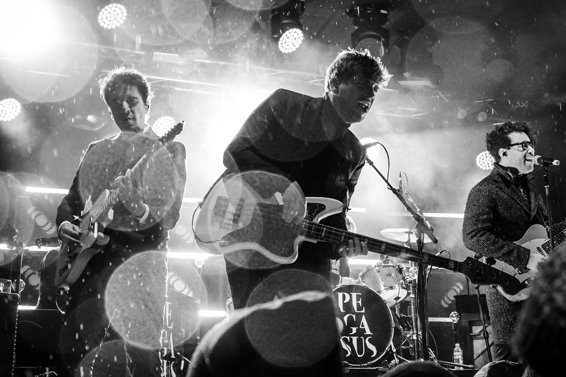 Pegasus by Sascha Gregori