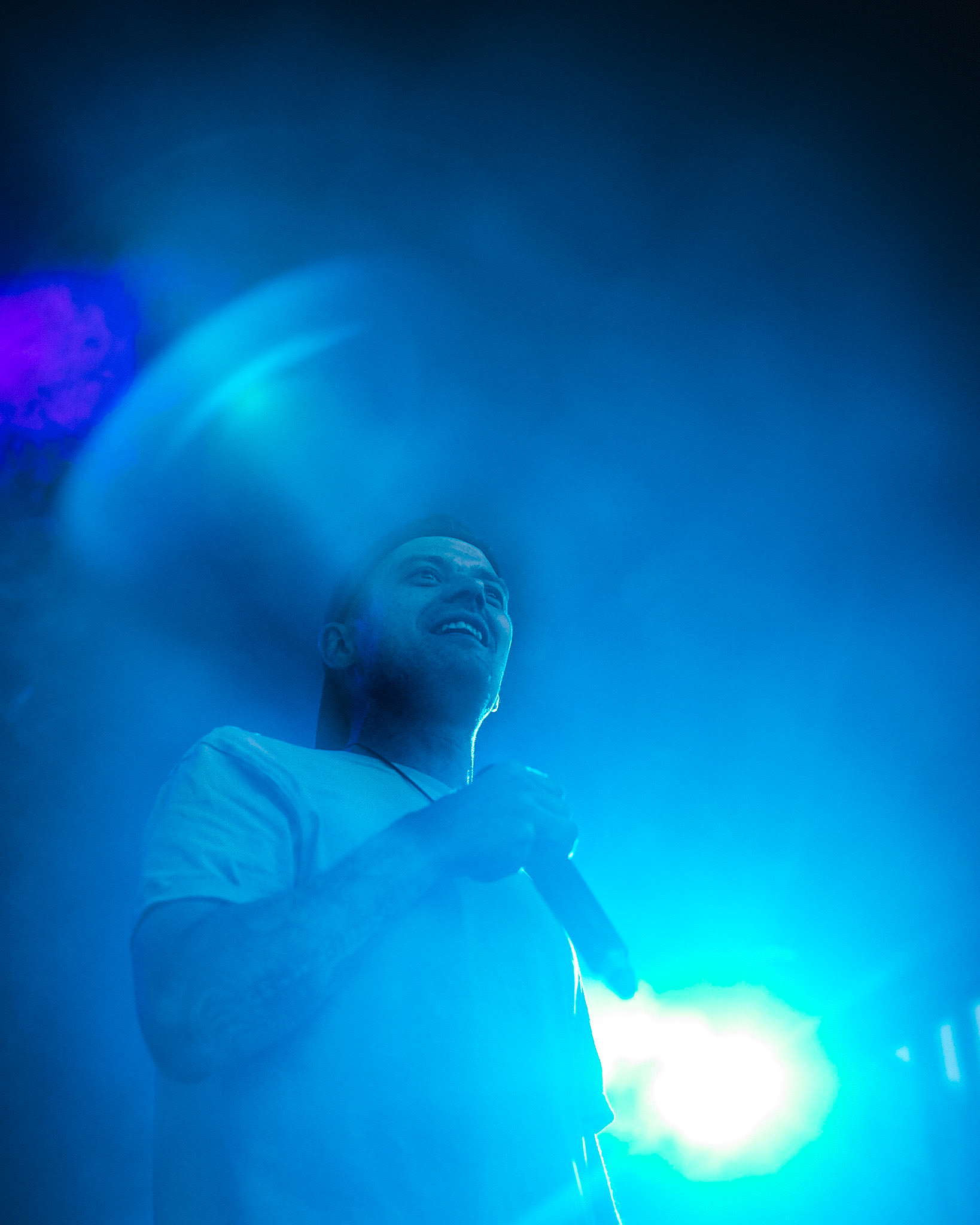 Hedge Hog by Sascha Gregori