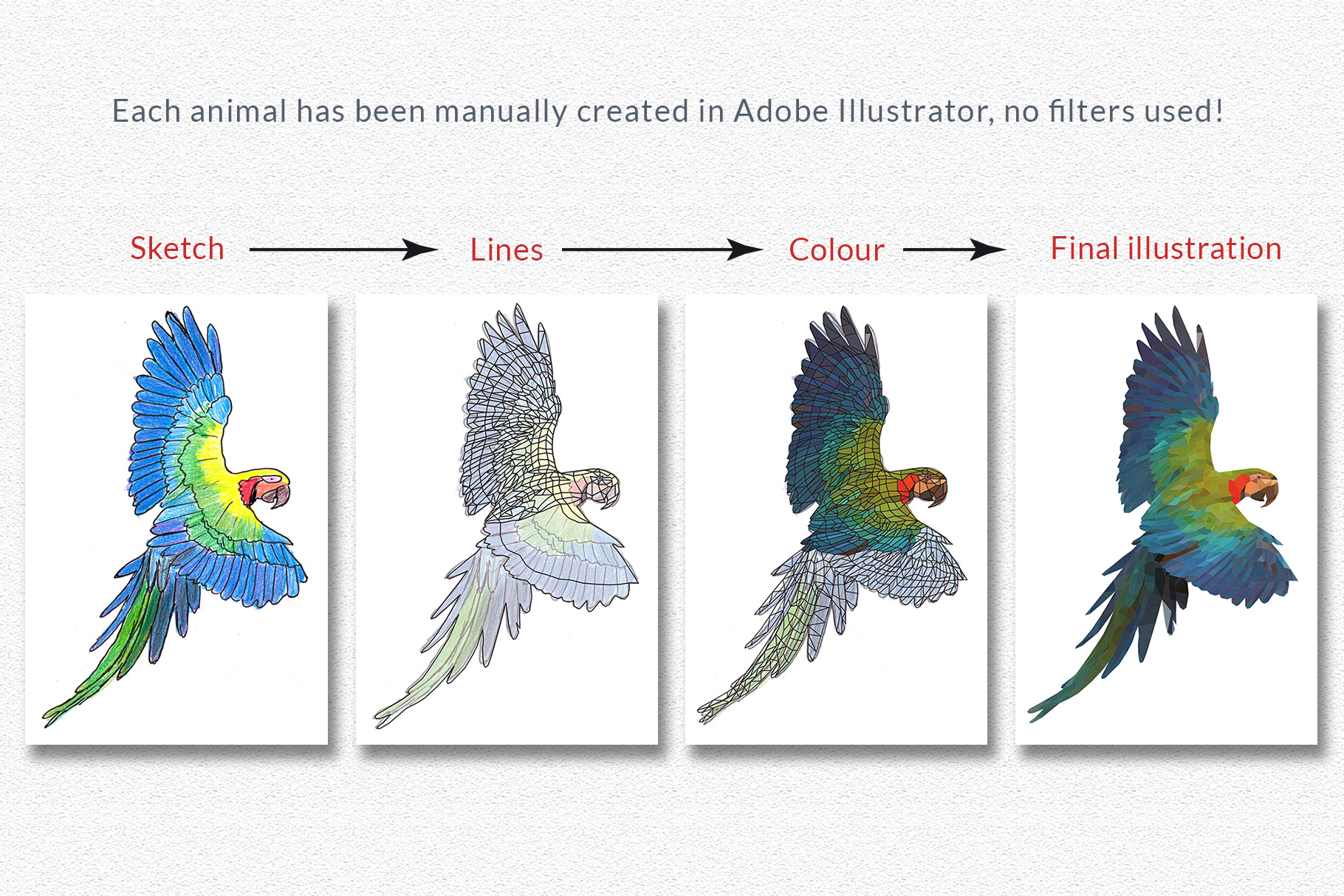 Polygonal style animals process creation