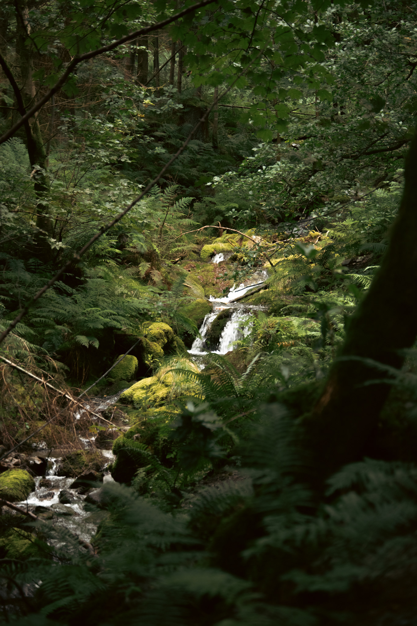 Lake District, UK