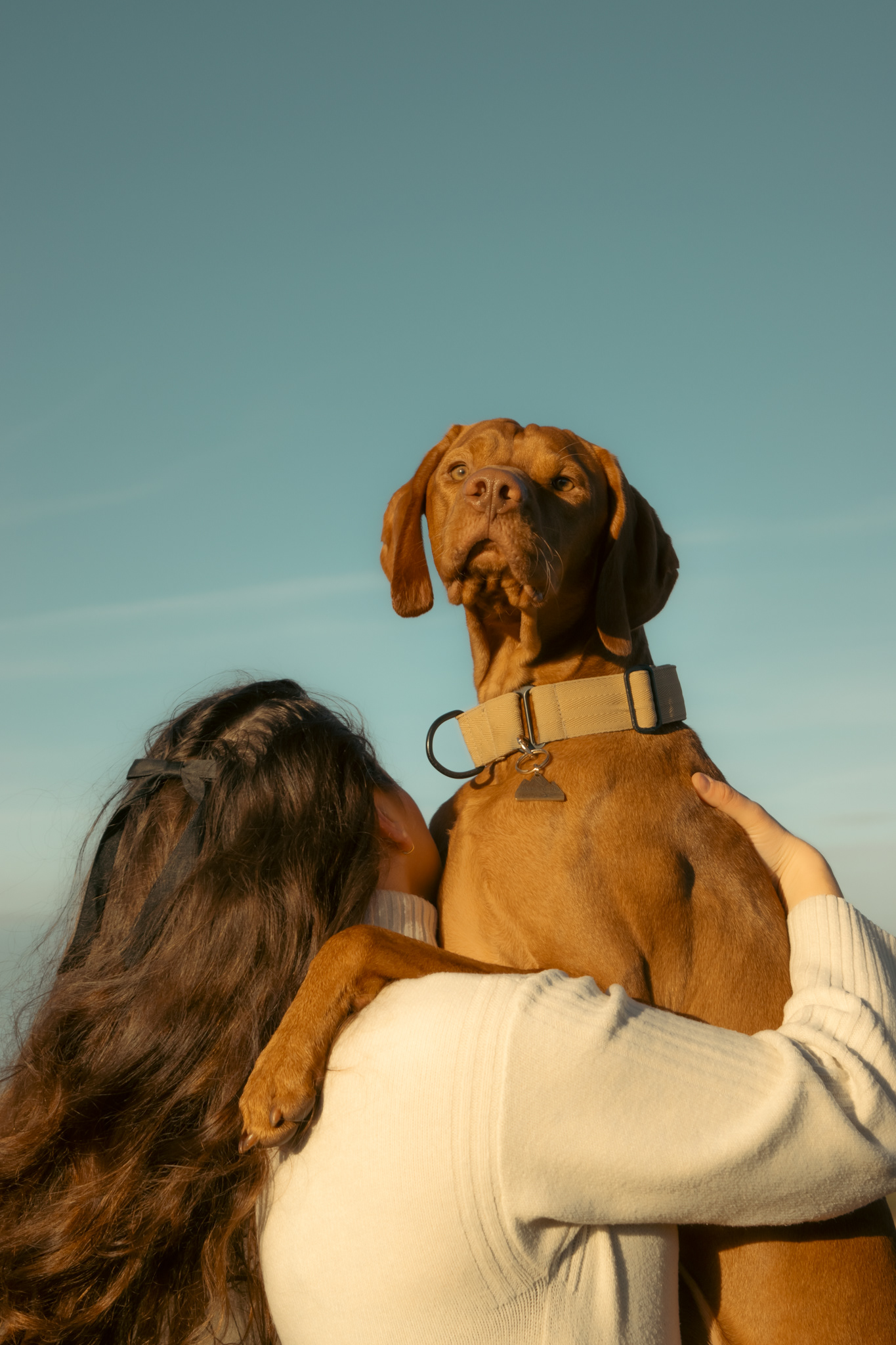 Andrea & Lazlo - Pet photoshoot