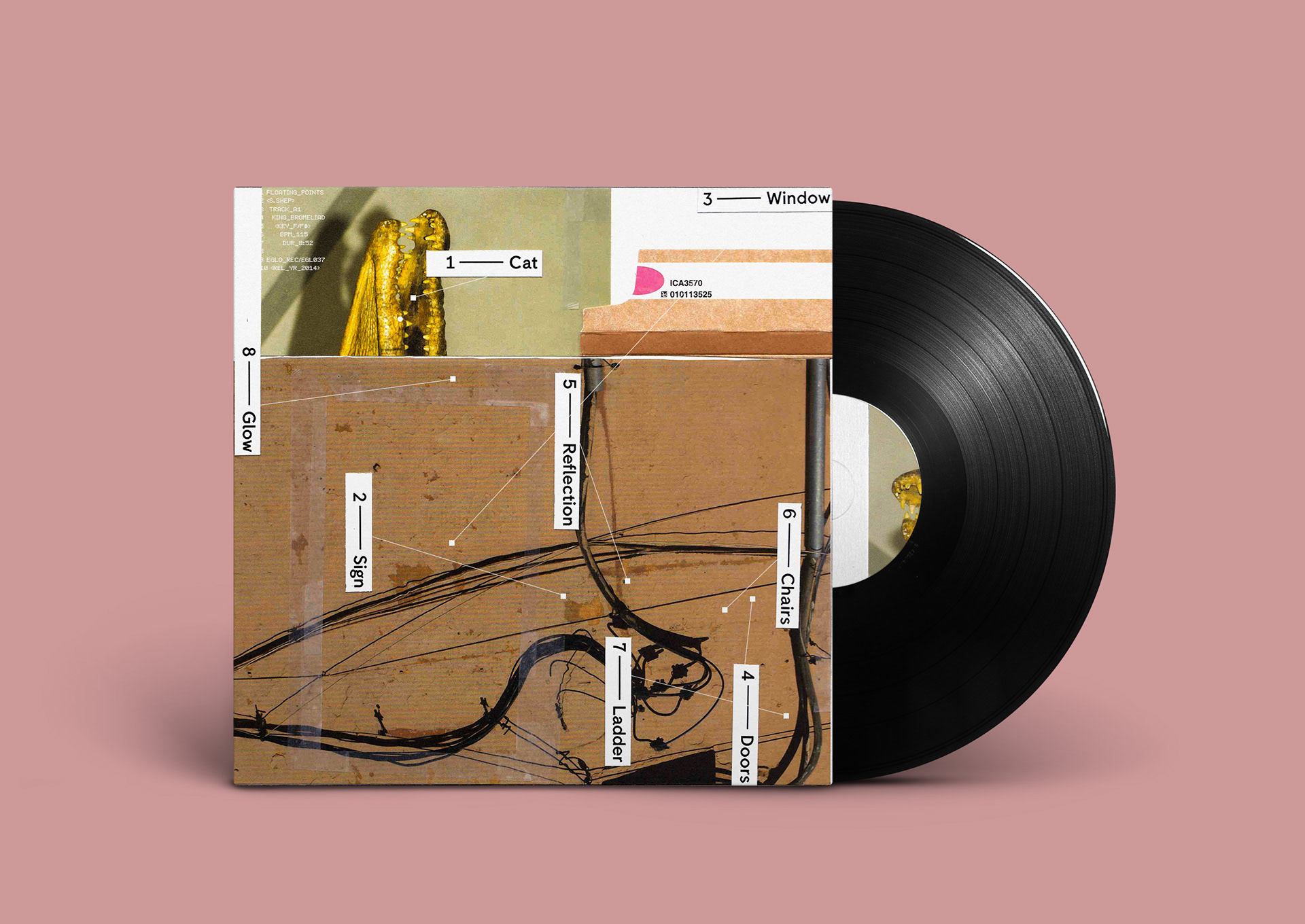 King Bromeliad - Floating Points