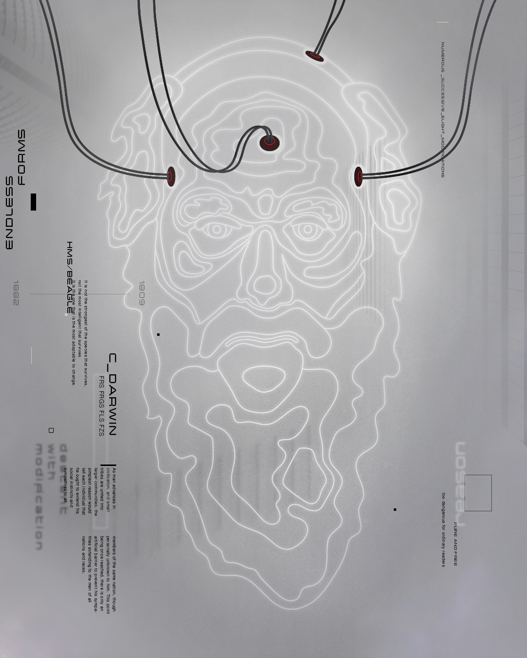 'Darwin' Profile Illustration