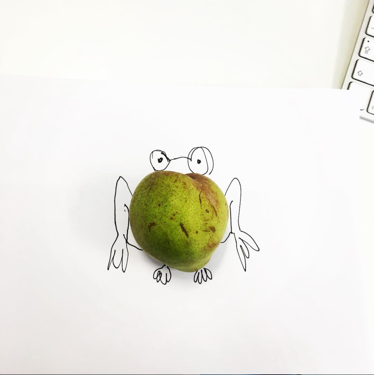 Pear Frog - Doodle