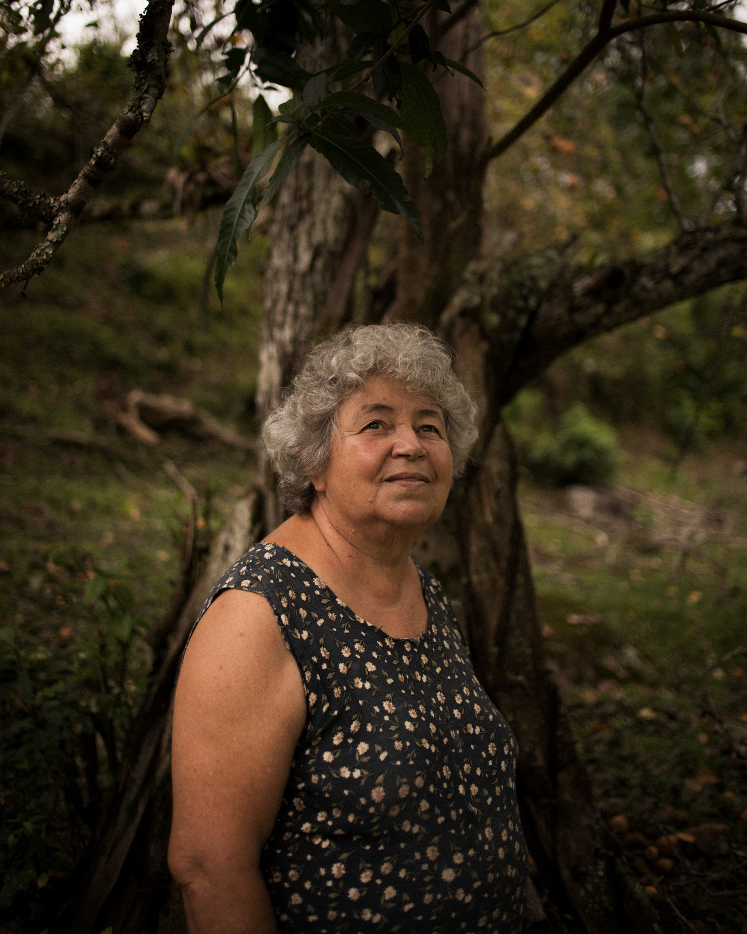 Retrato de Catarina, que olha levemente para cima, e está em frente a uma árvore