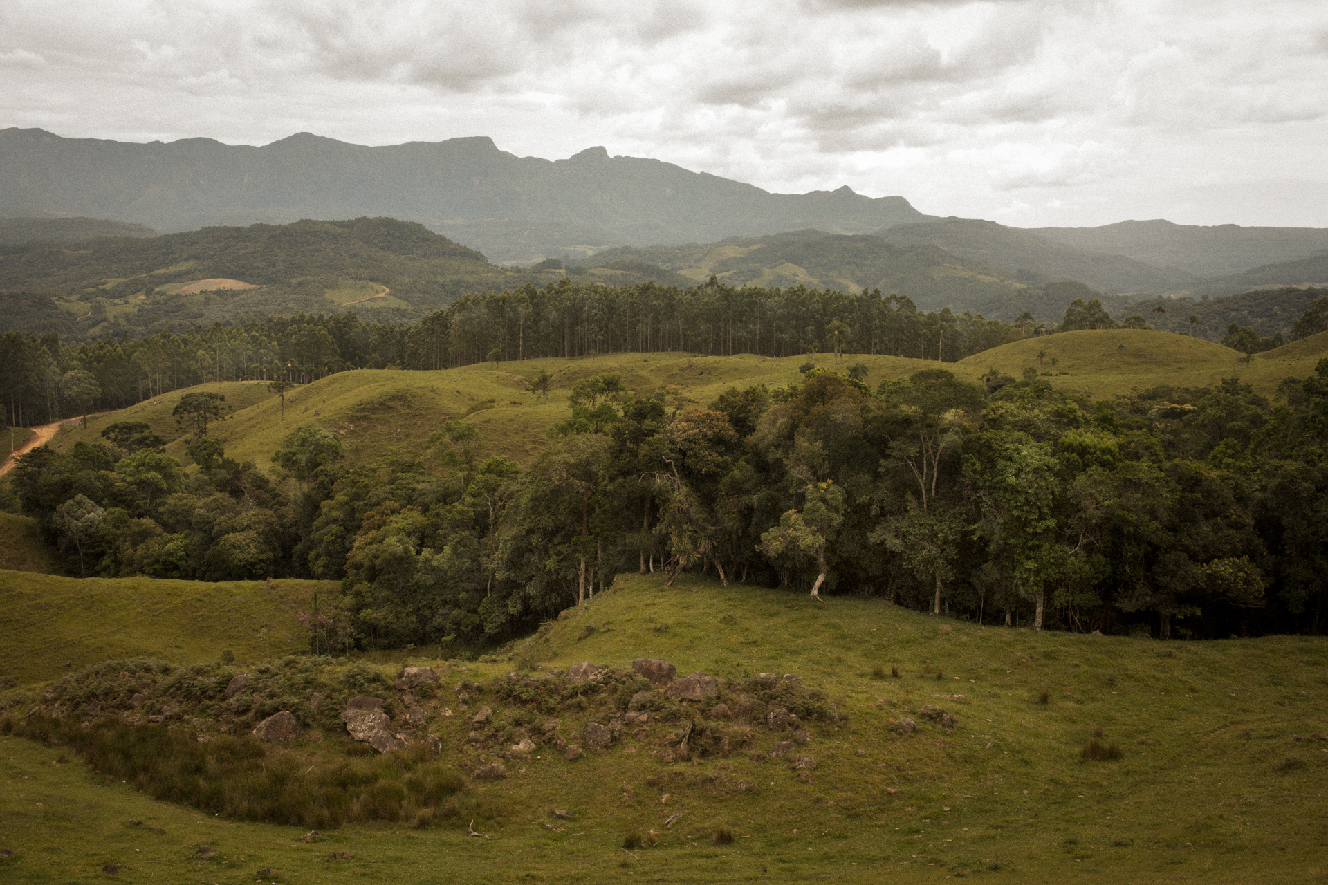 Paisagem horizontal com diferentes campos, árvores e ao fundo a Serra Geral