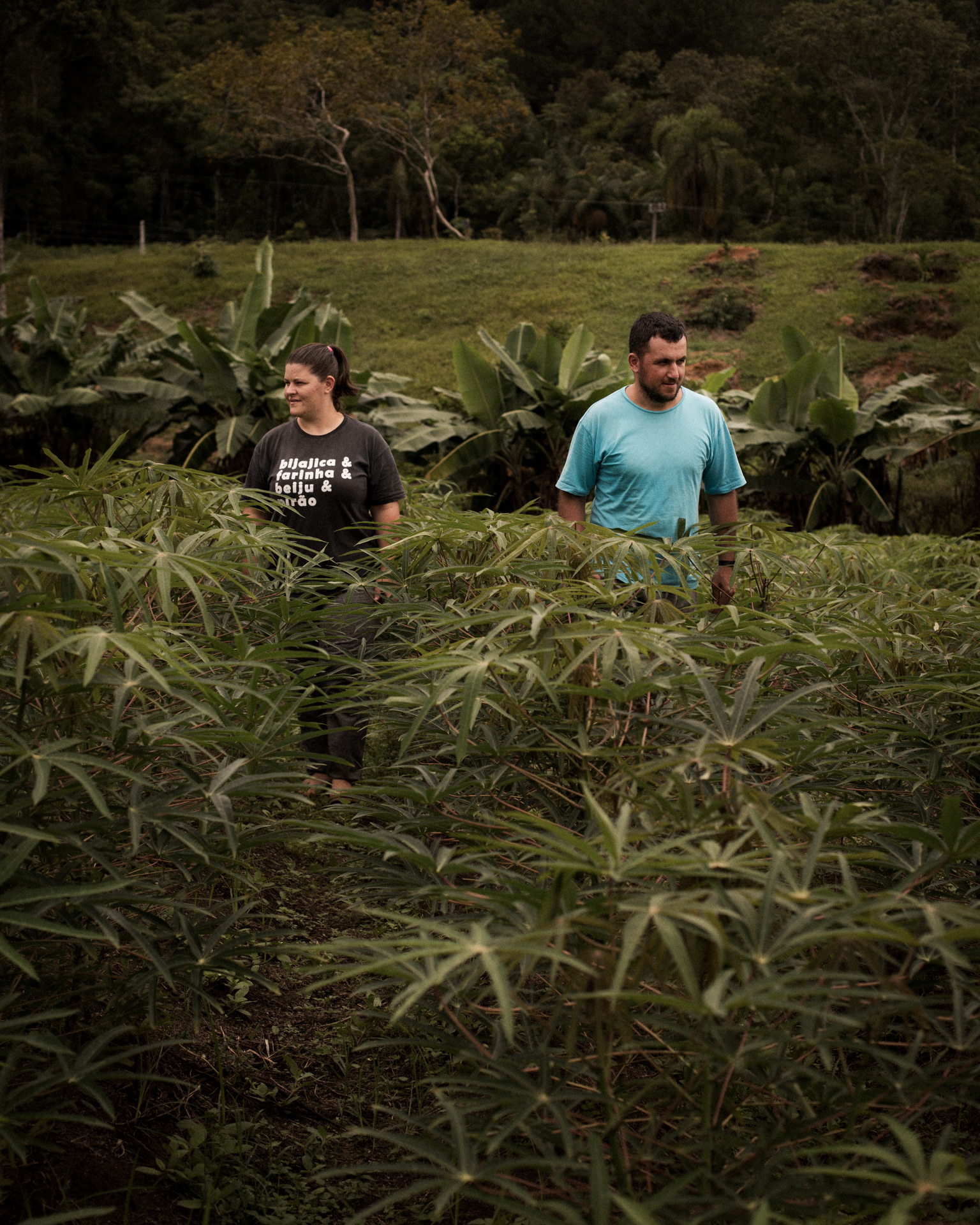 Raizza e Ricardo caminham em uma plantação de mandioca, com árvores ao fundo
