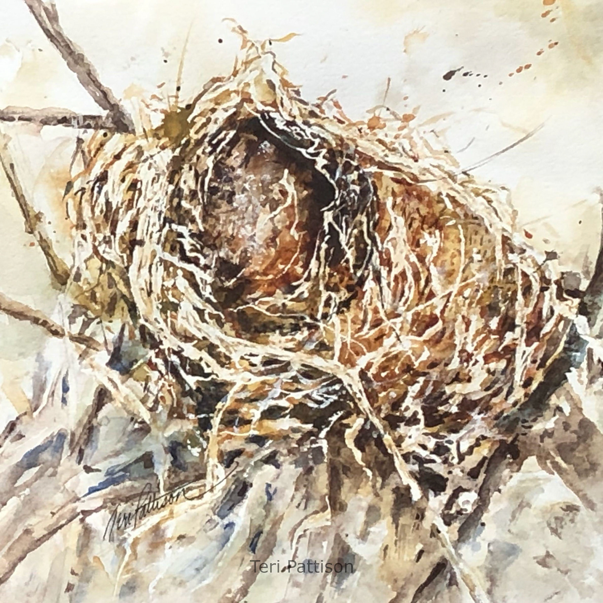 The-Warbler-Family-is-Out