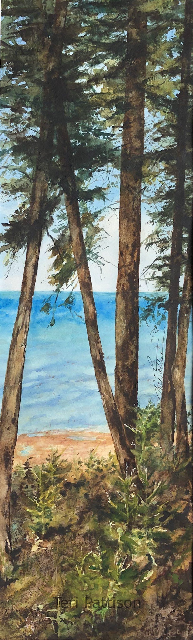 View-through-the-Pines