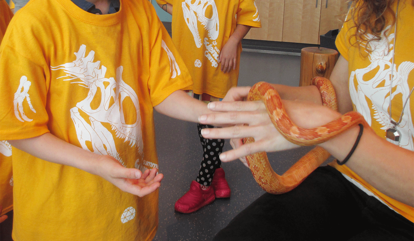 Summer Science Camp t-shirts in action.
