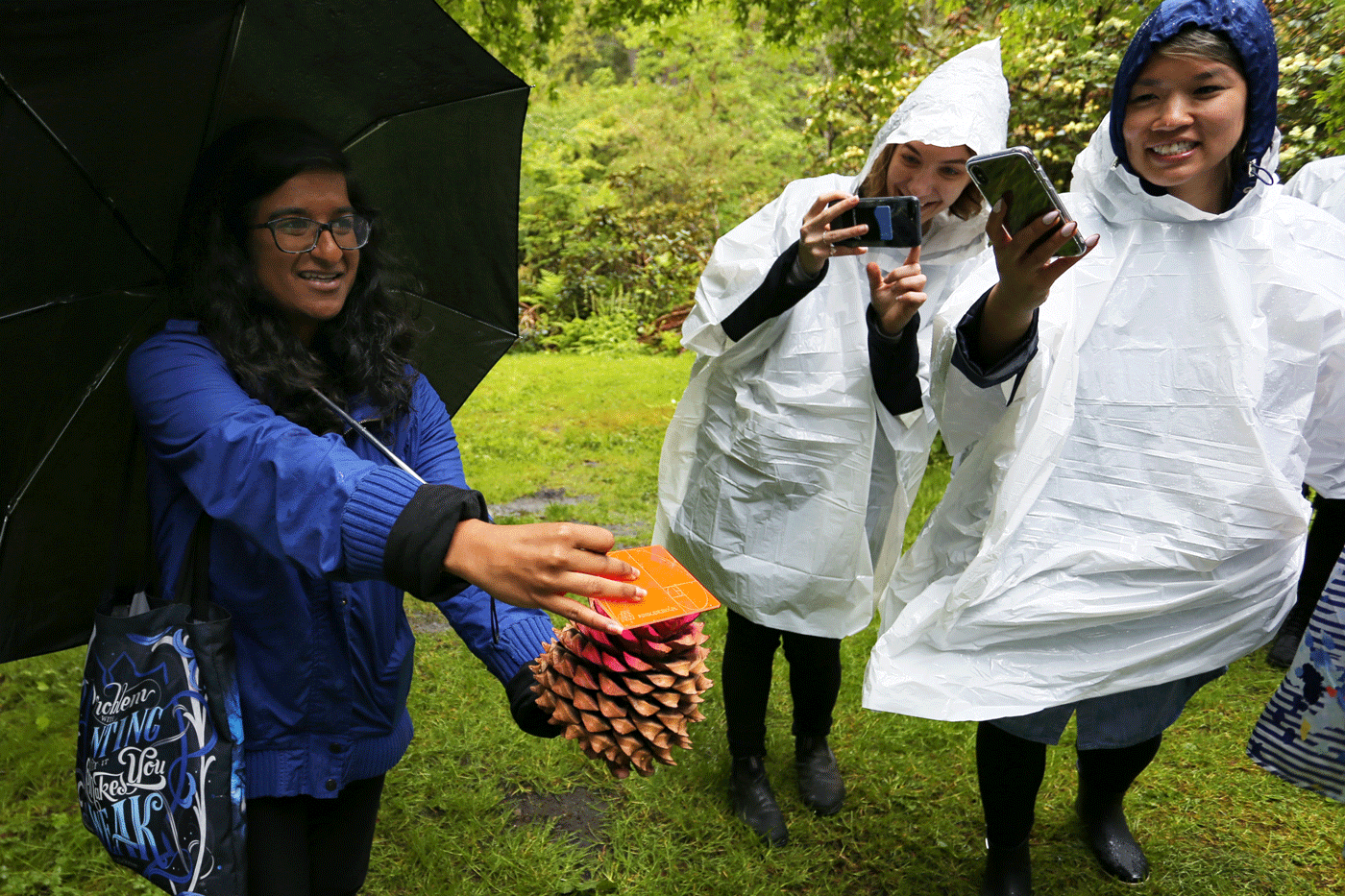 A UBC Botanical Garden employee demonstrating the Fibonacci sequence found in pinecones, using a #VanScienceSocial Fibonacci viewfinder.