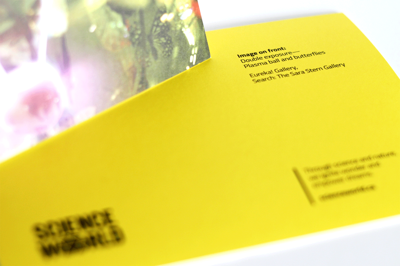 Detail of information on back side of greeting cards.