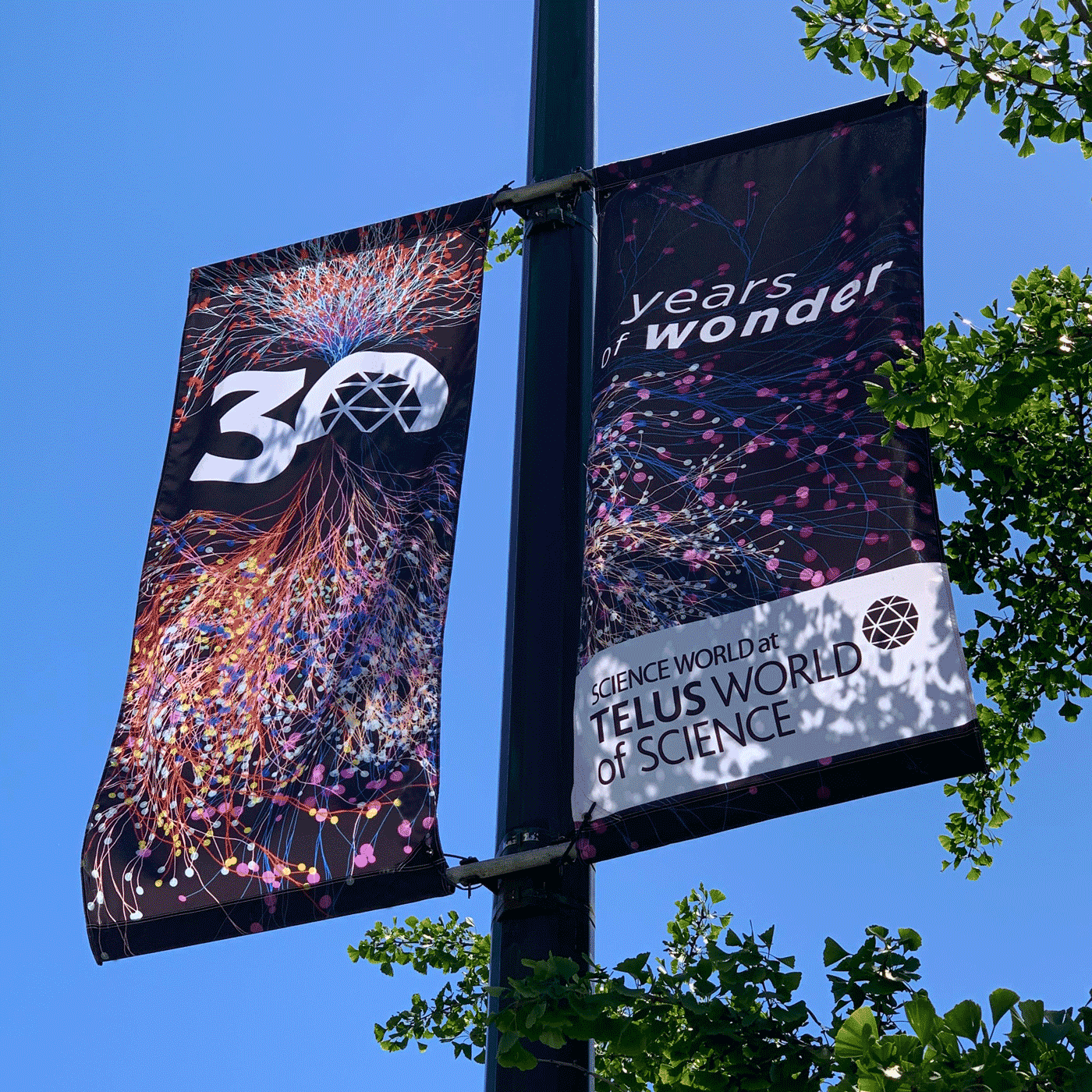 Street banners, installed along Quebec Street.