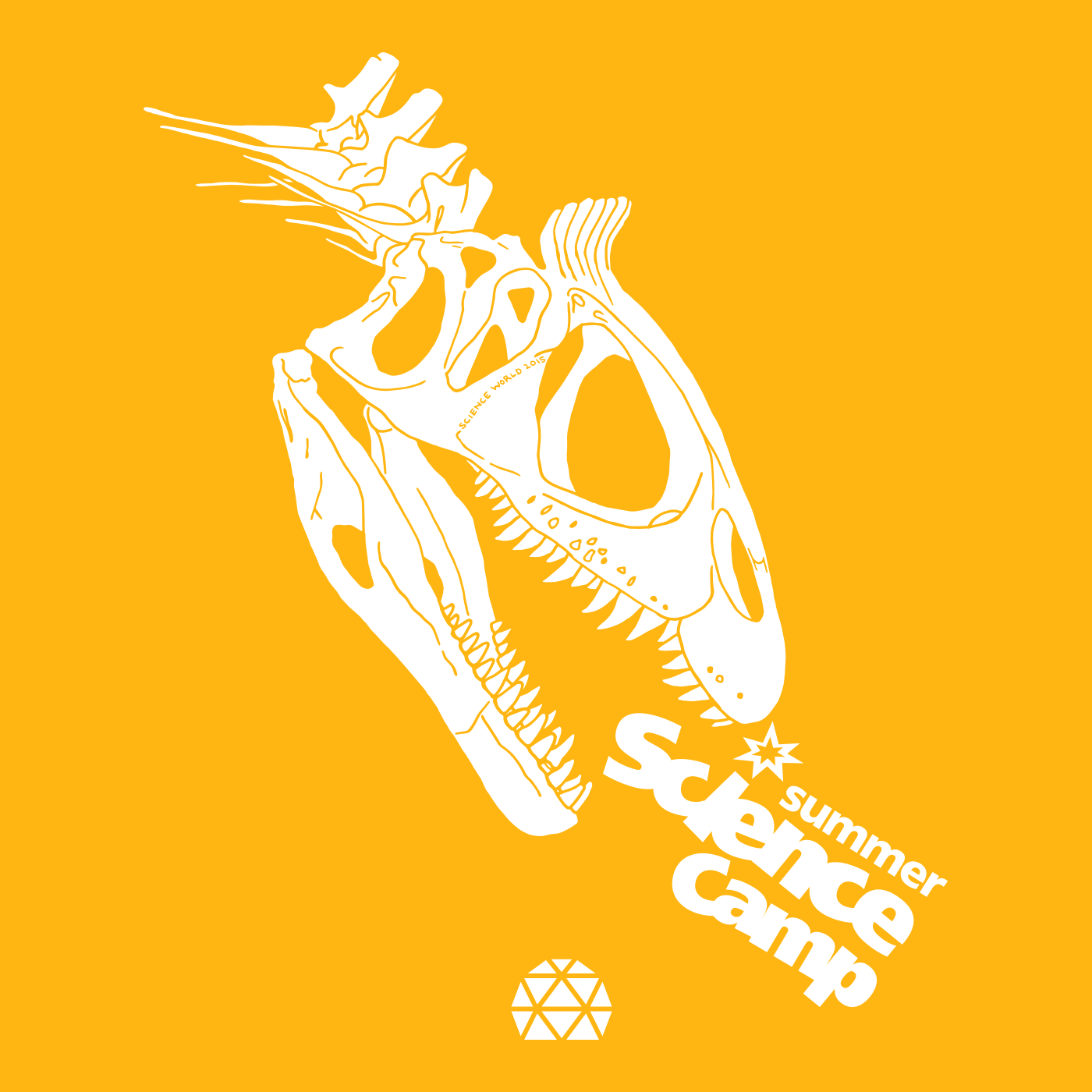 Finished vector illustration, including the existing Summer Science Camp branding.