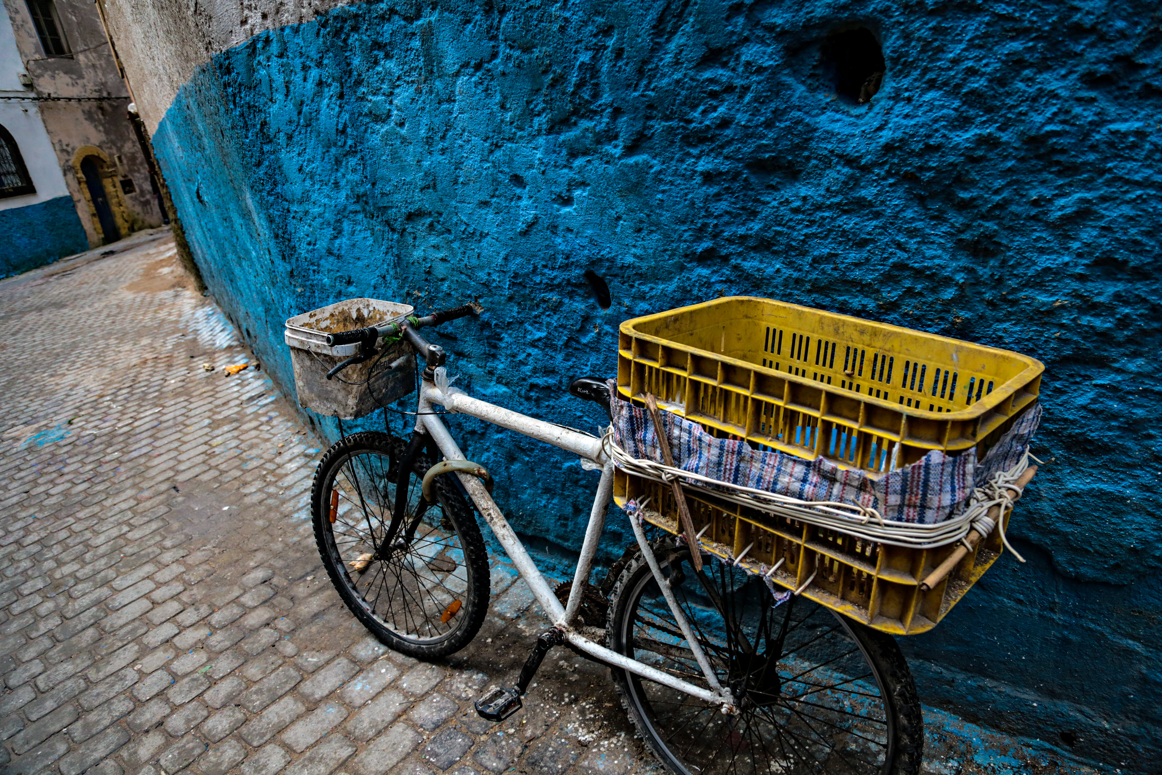 The Bicycle Thief