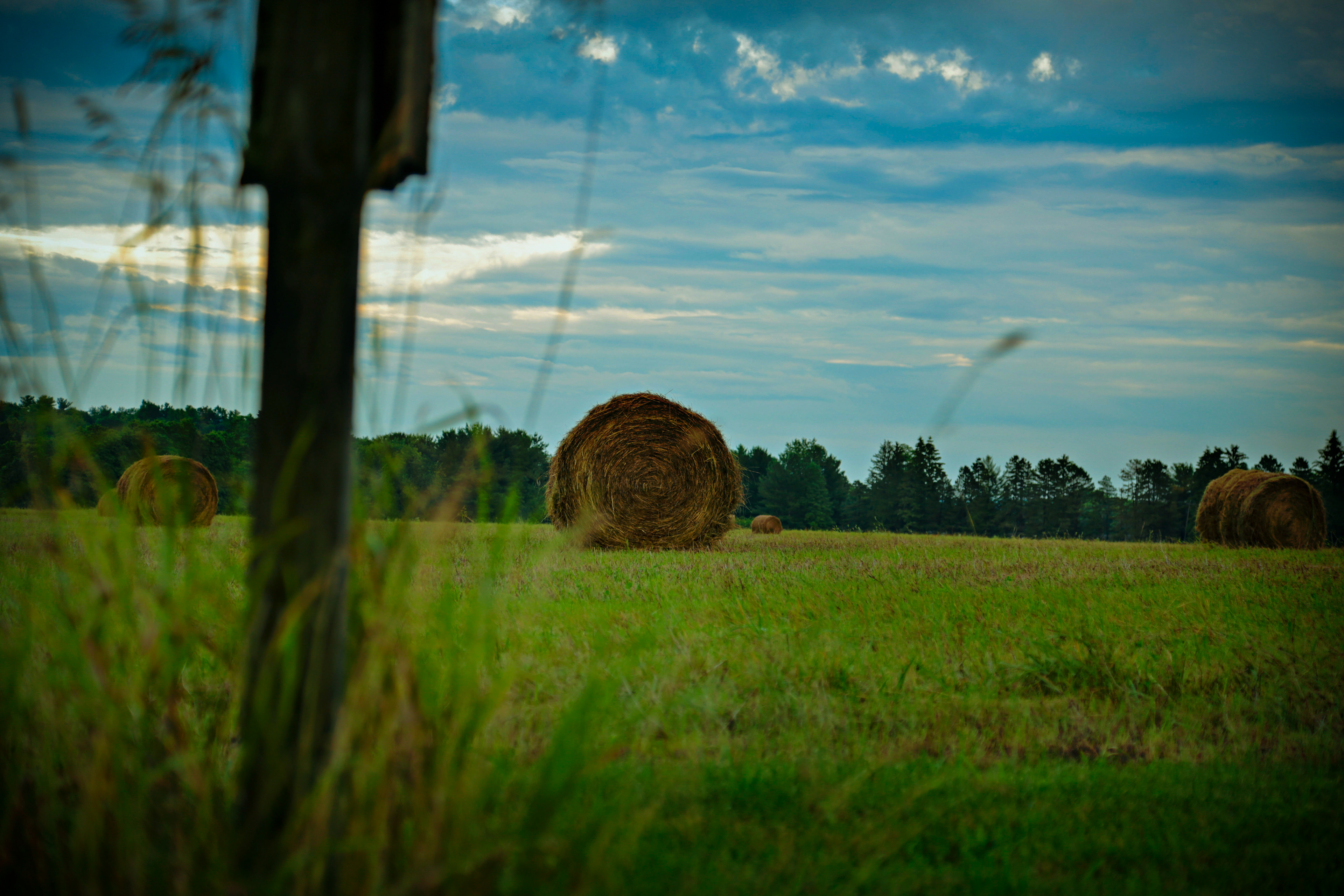 Not in Kansas Anymore