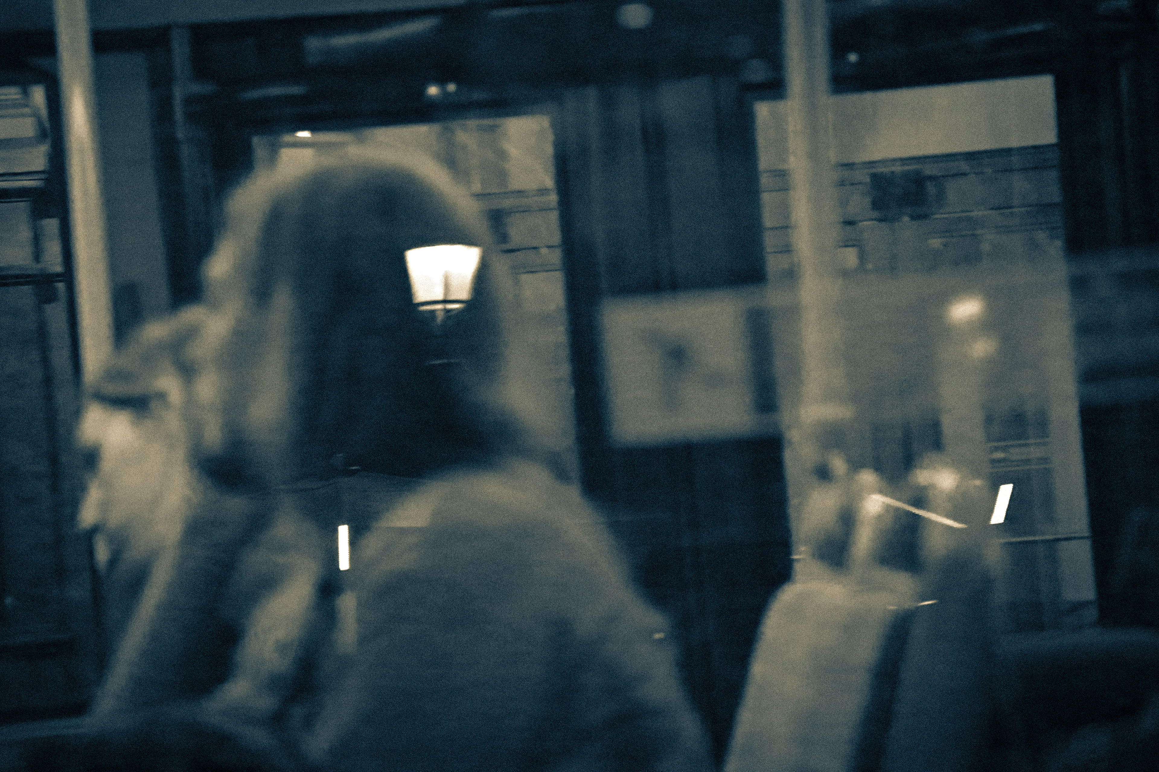 Through the Eyes of Jonas Mekas