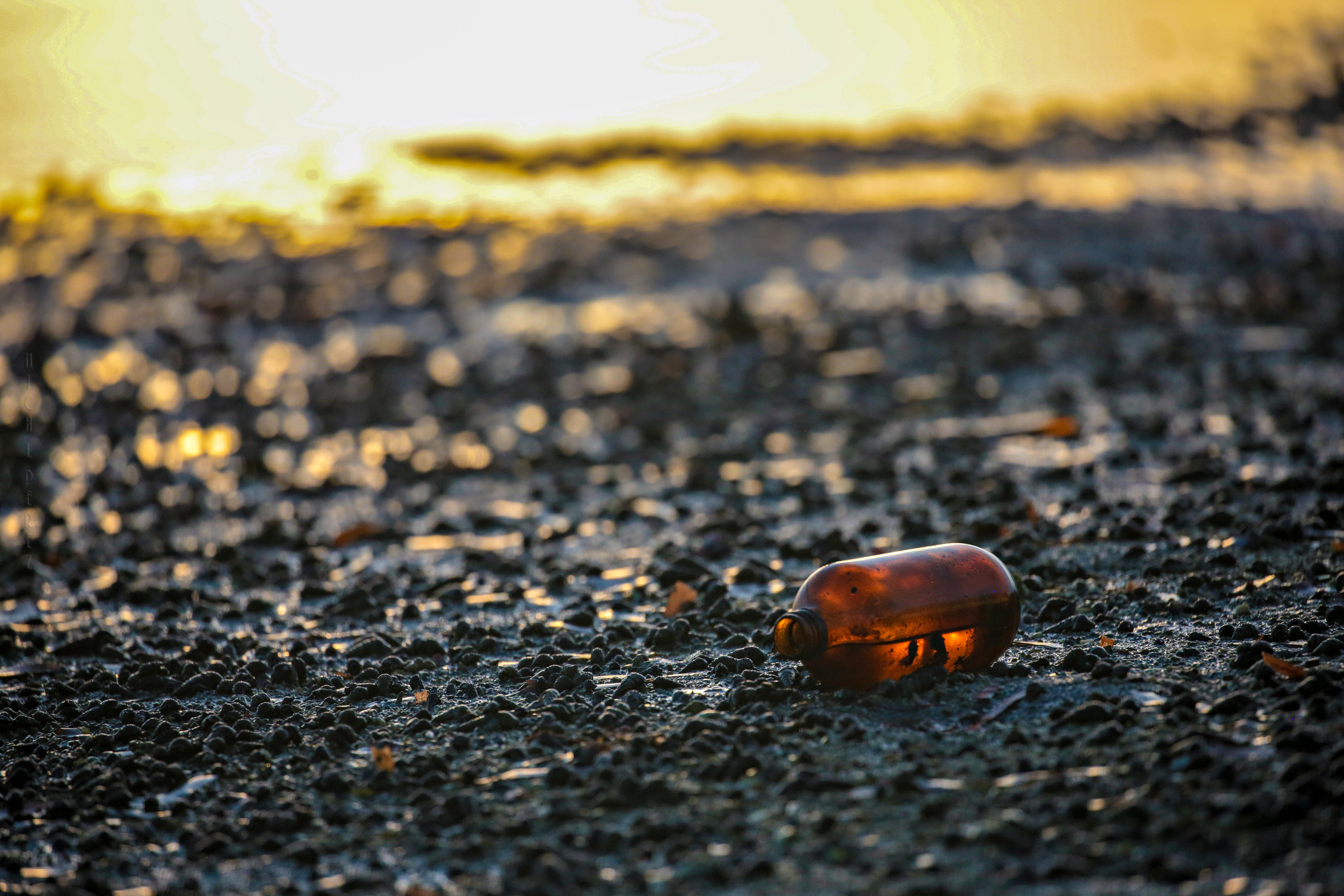 Message in a Bottle