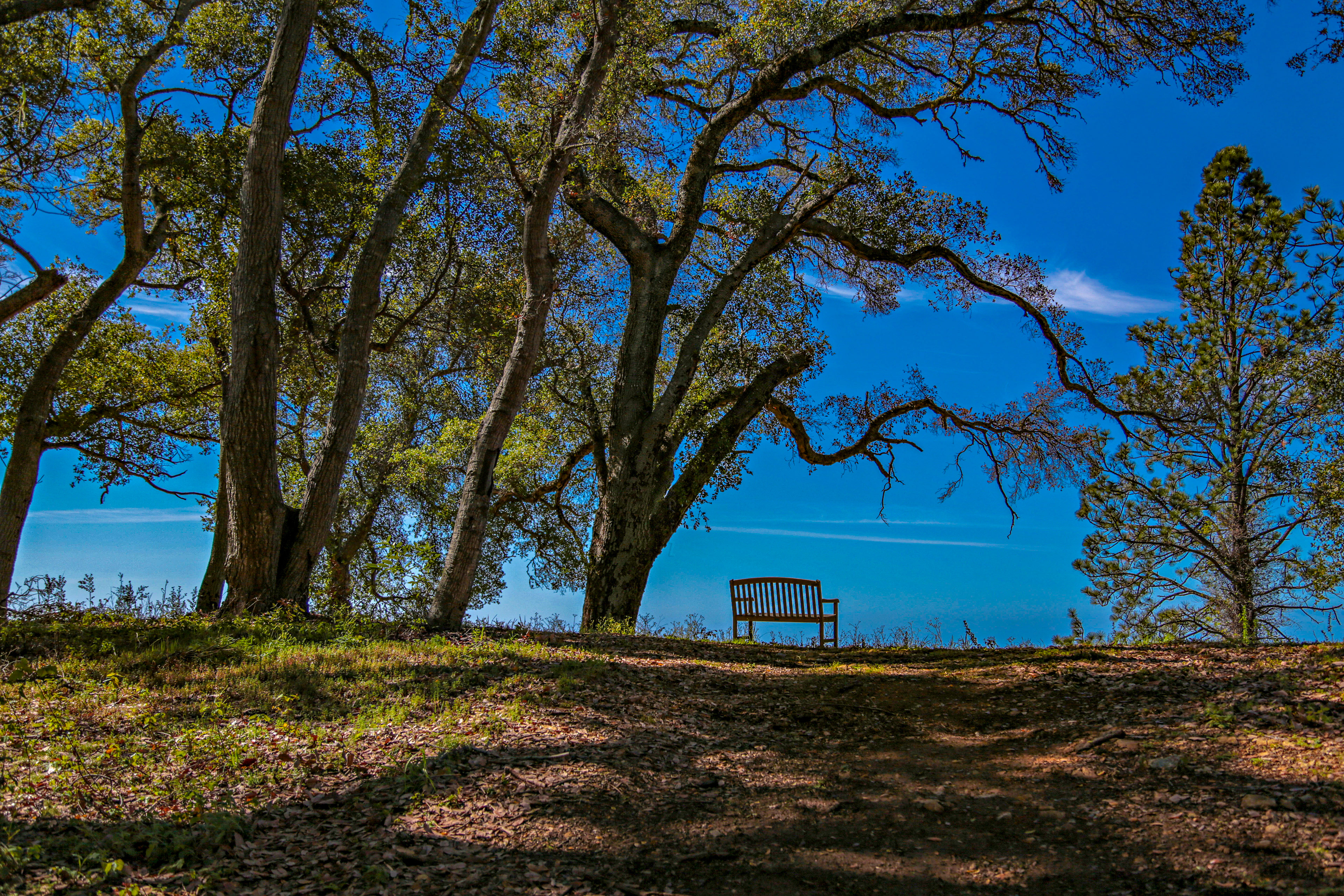 A Conversation with My Mother.