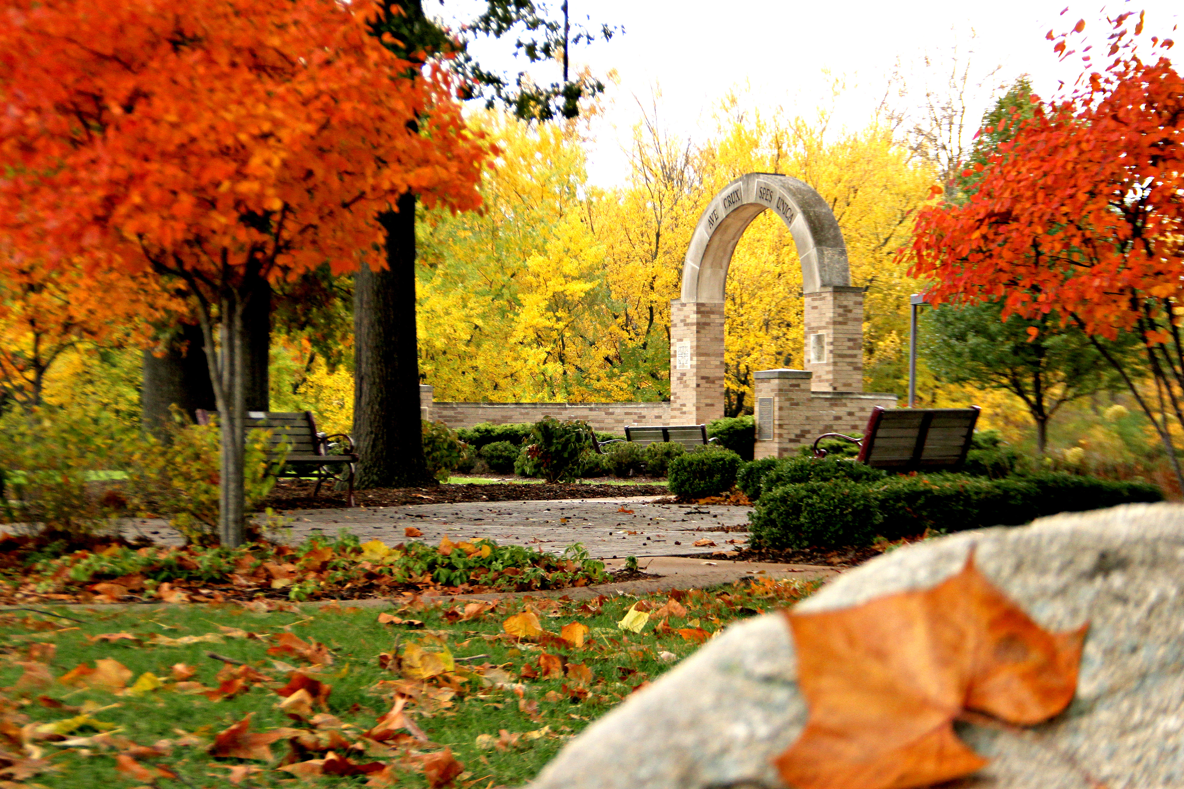 HoCro in Autumn