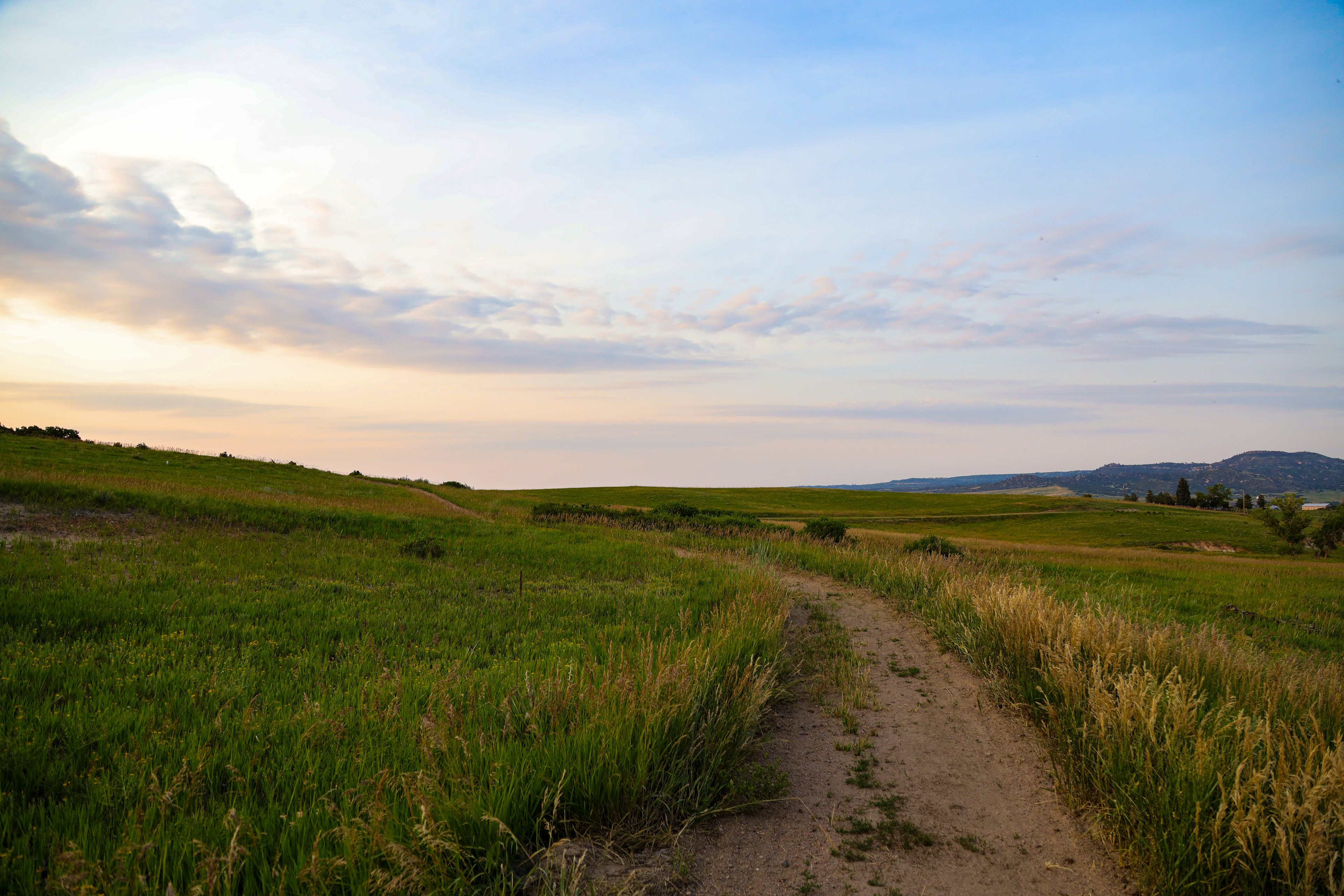 The Path