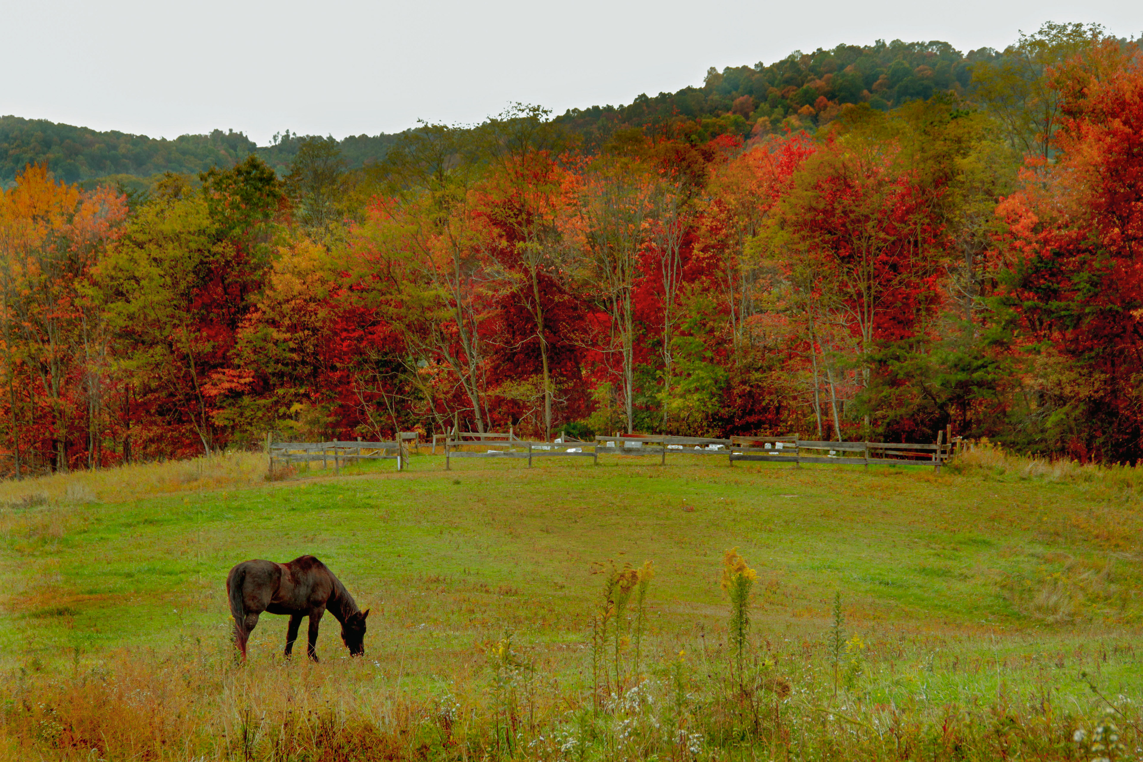 The Farm Life