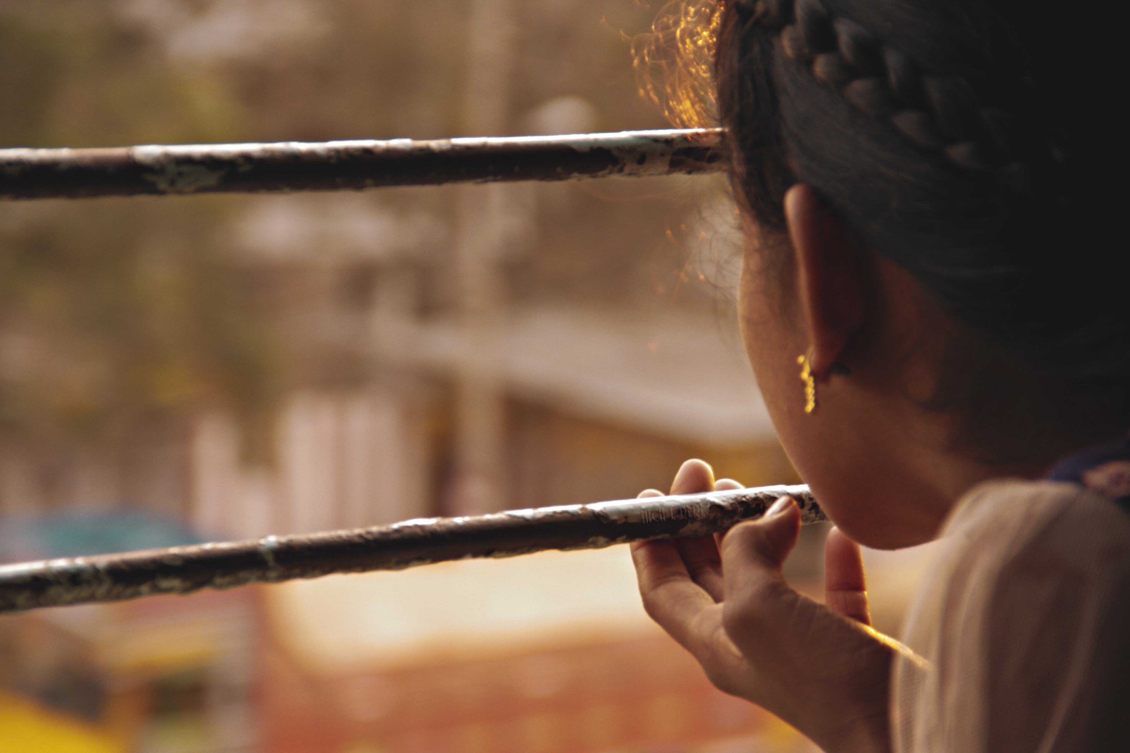Through the Window on the Train to Salem