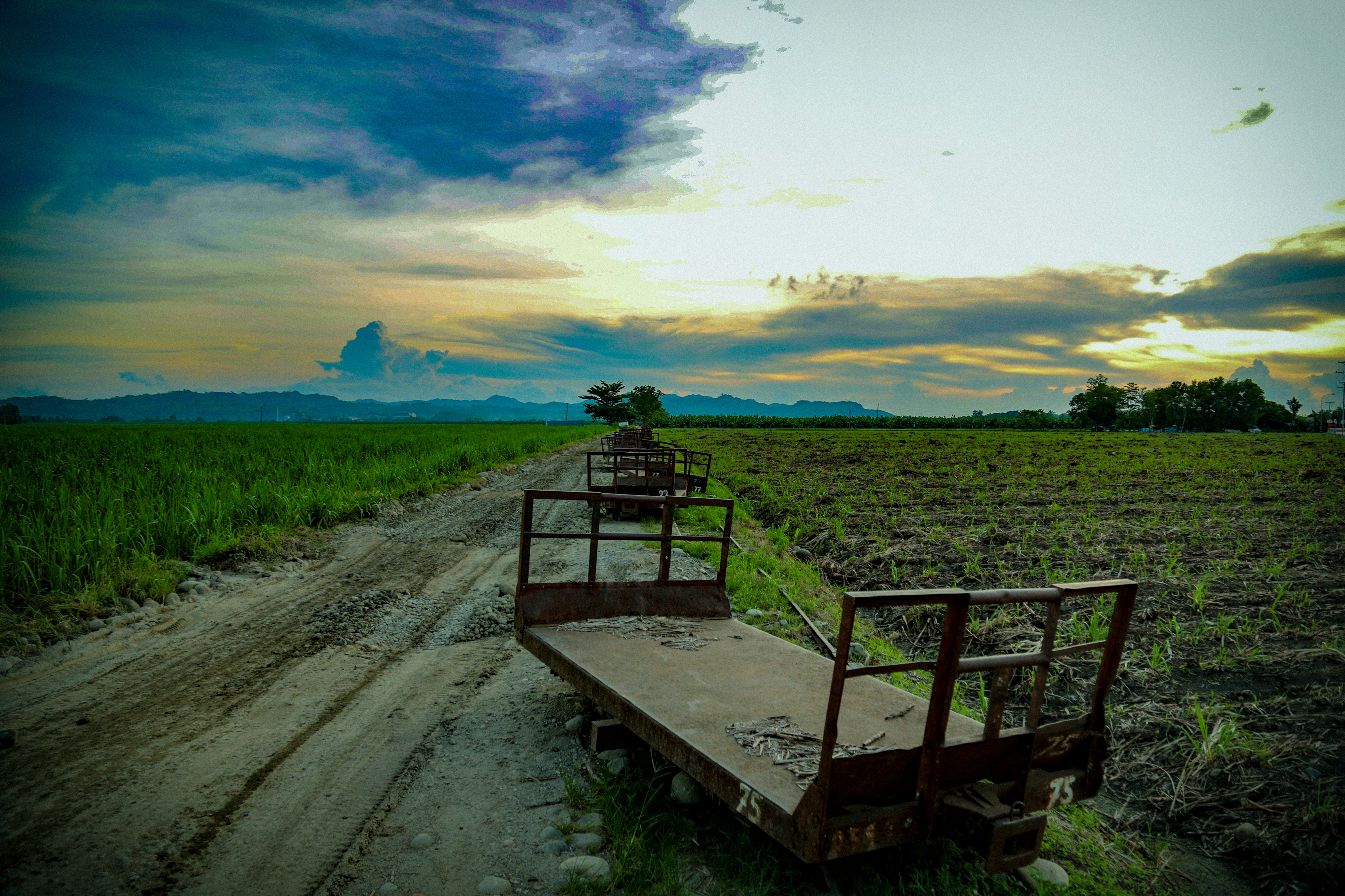 A Reminder of Childhood