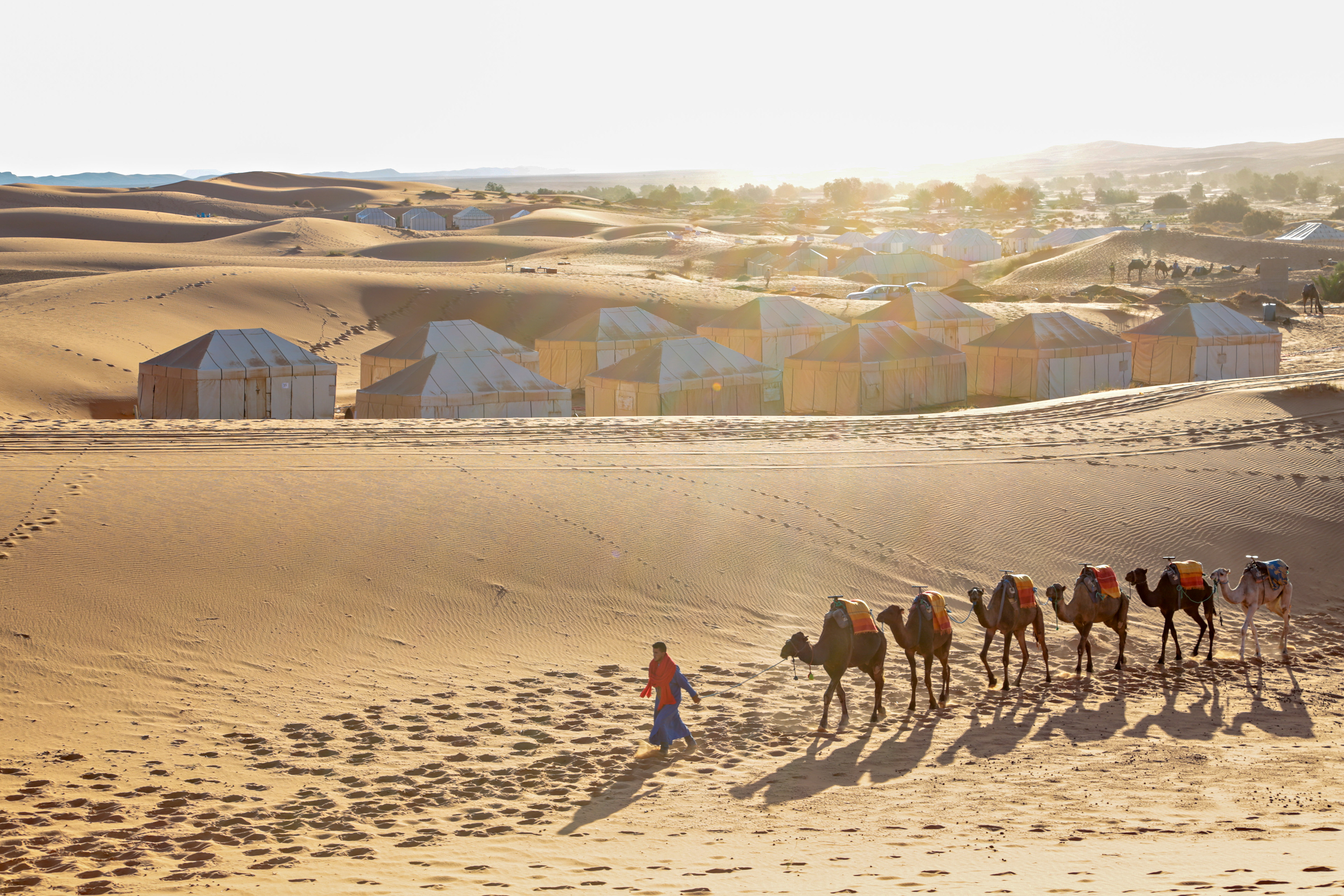 Sunrise in the Sahara