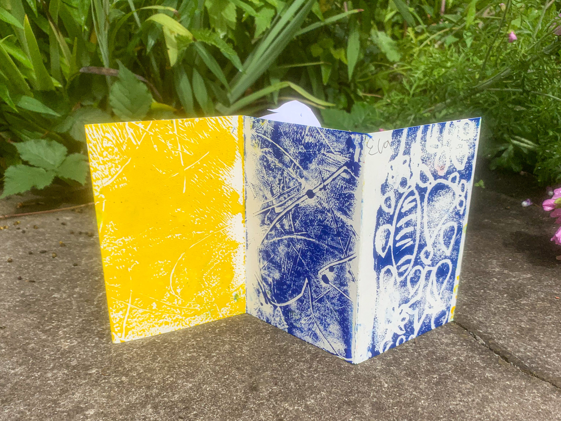 Final concertina printed books
