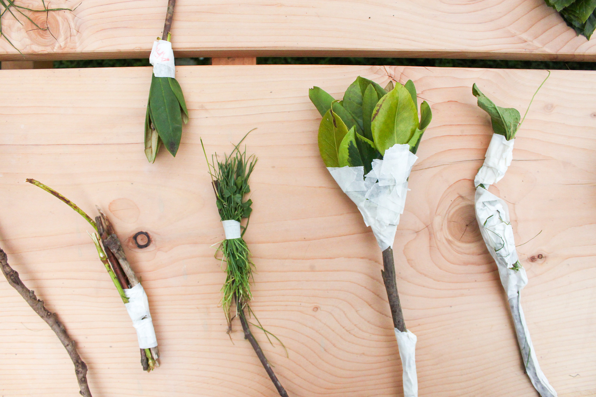 Nature brushes