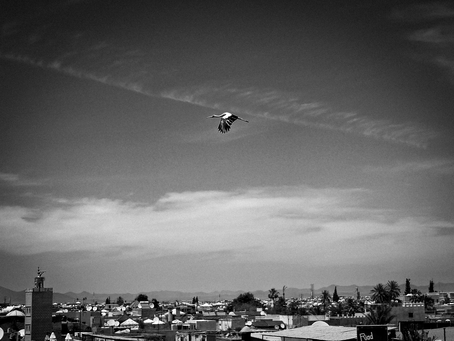 Marrakech Morocco 2013