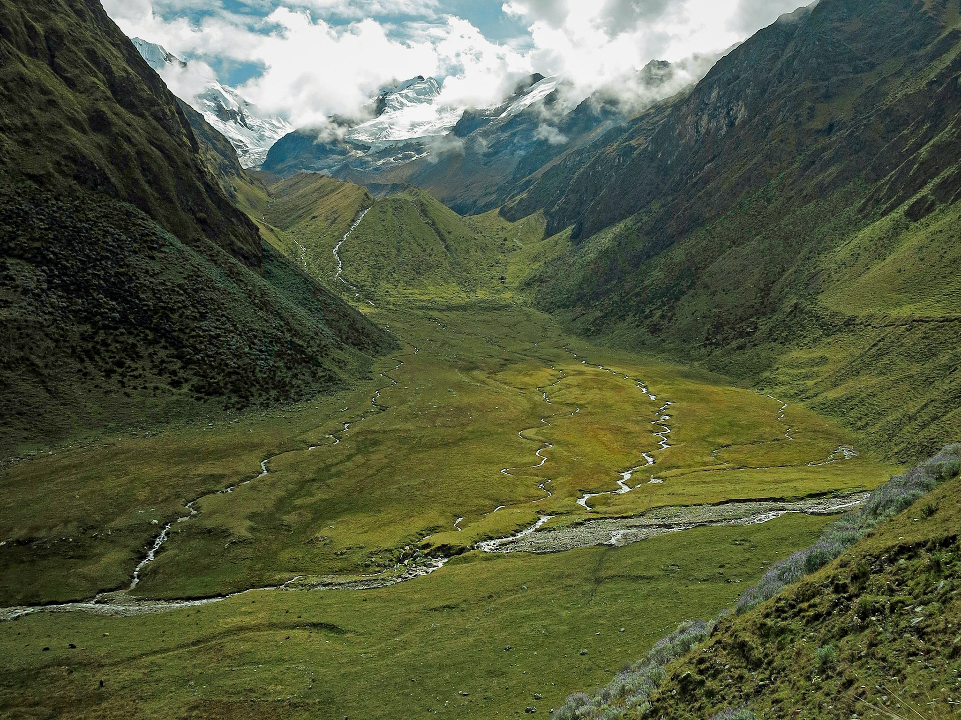 Abra Llamoja, Peru 2014