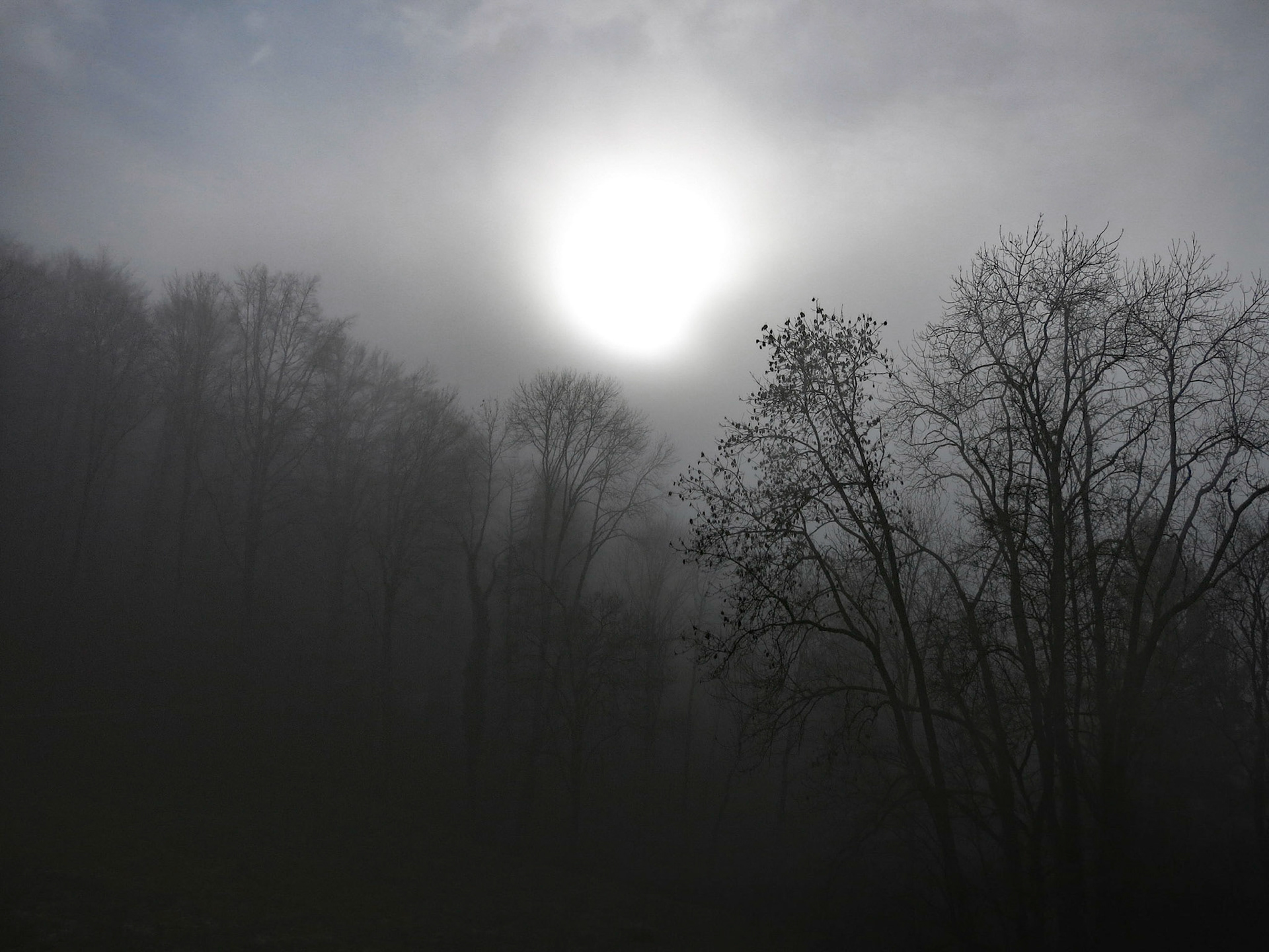 Orbe Switzerland 2015