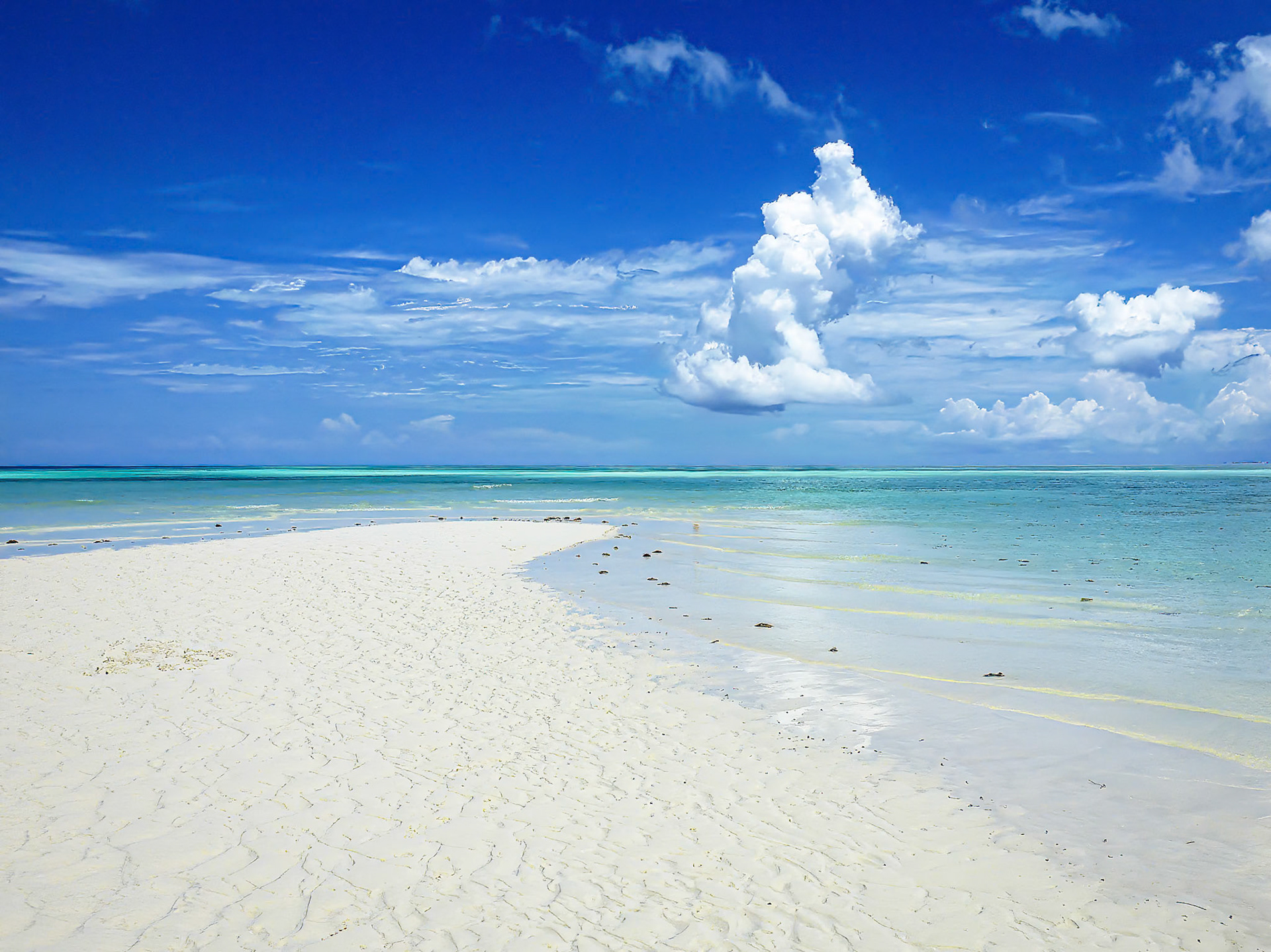 Mnemba Tanzania 2012