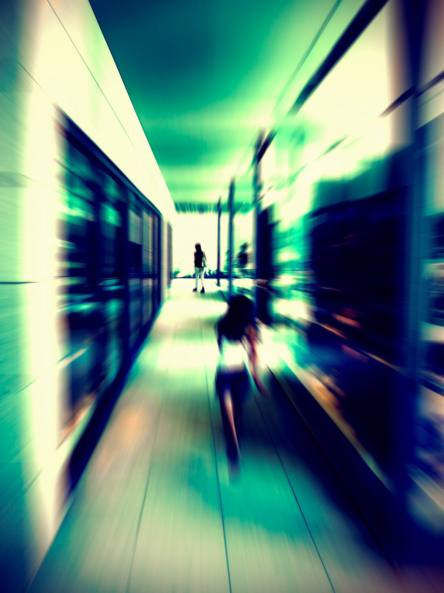 Zandhoven Belgium 2015