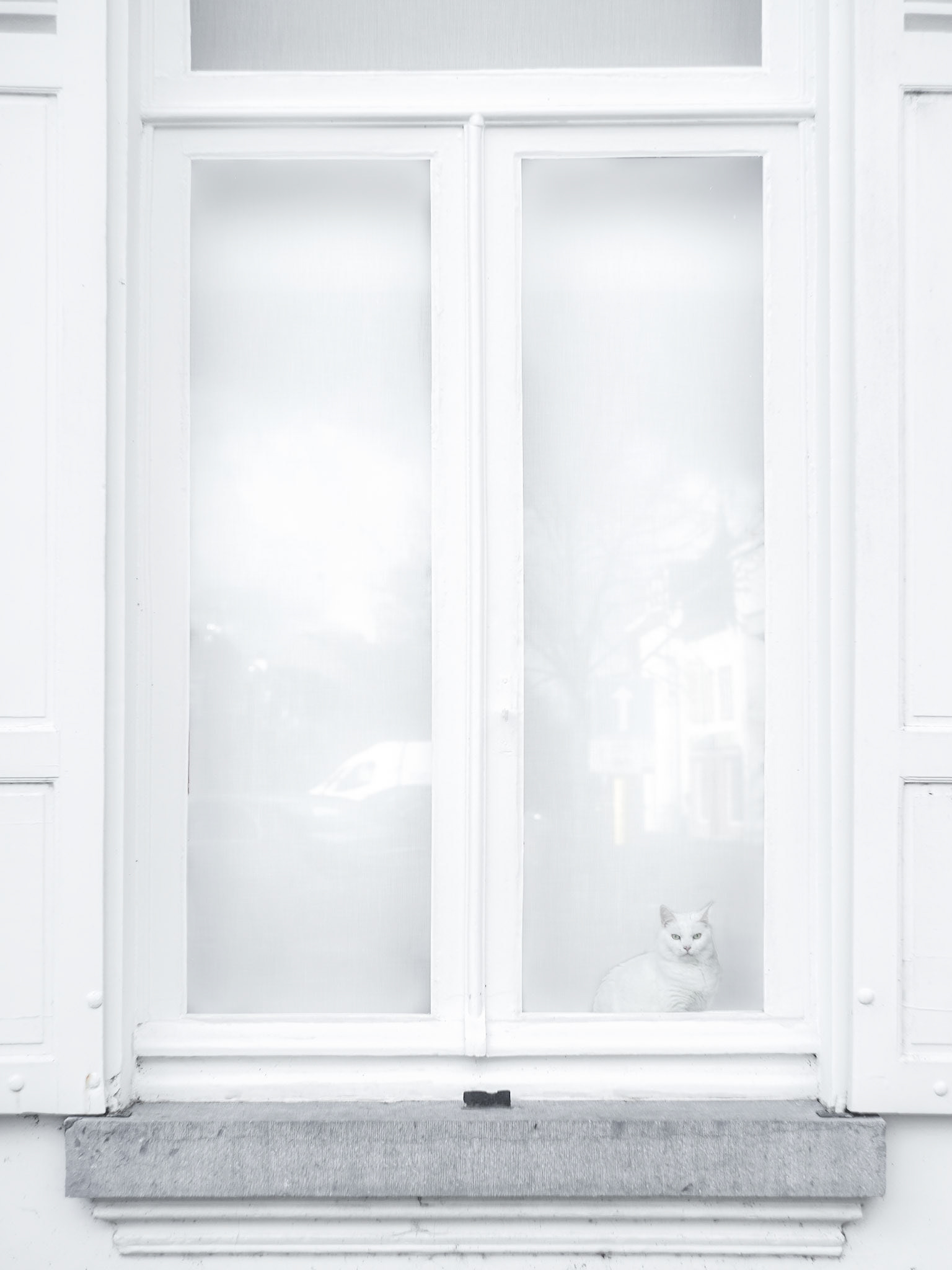 Westerlo Belgium 2024