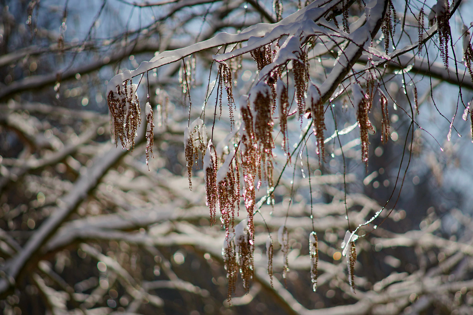 Antwerpen Belgium 2021