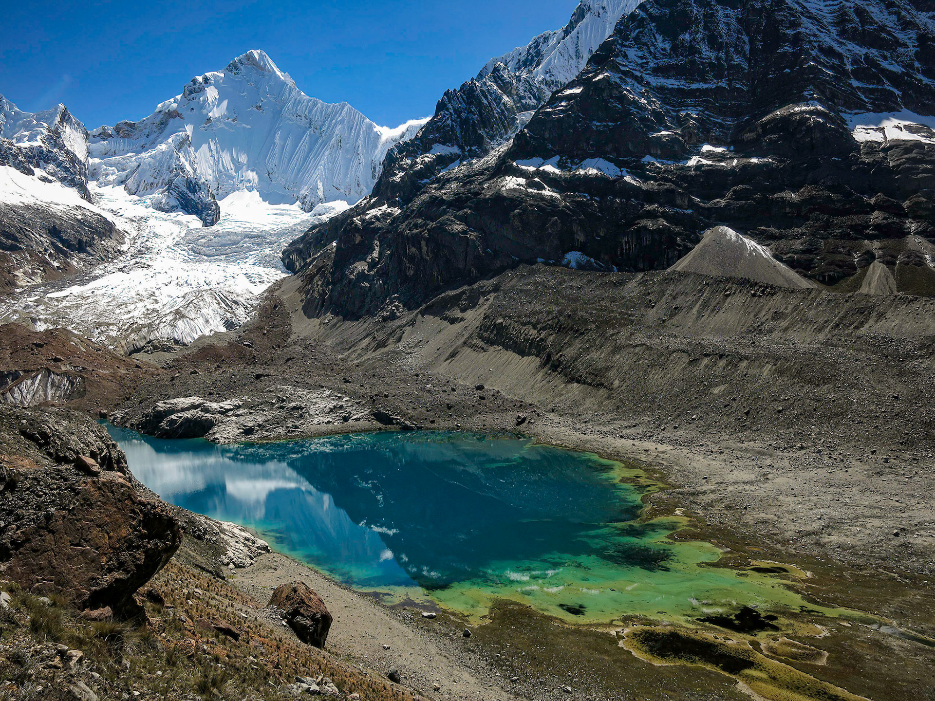 Sarapococha Peru 2015