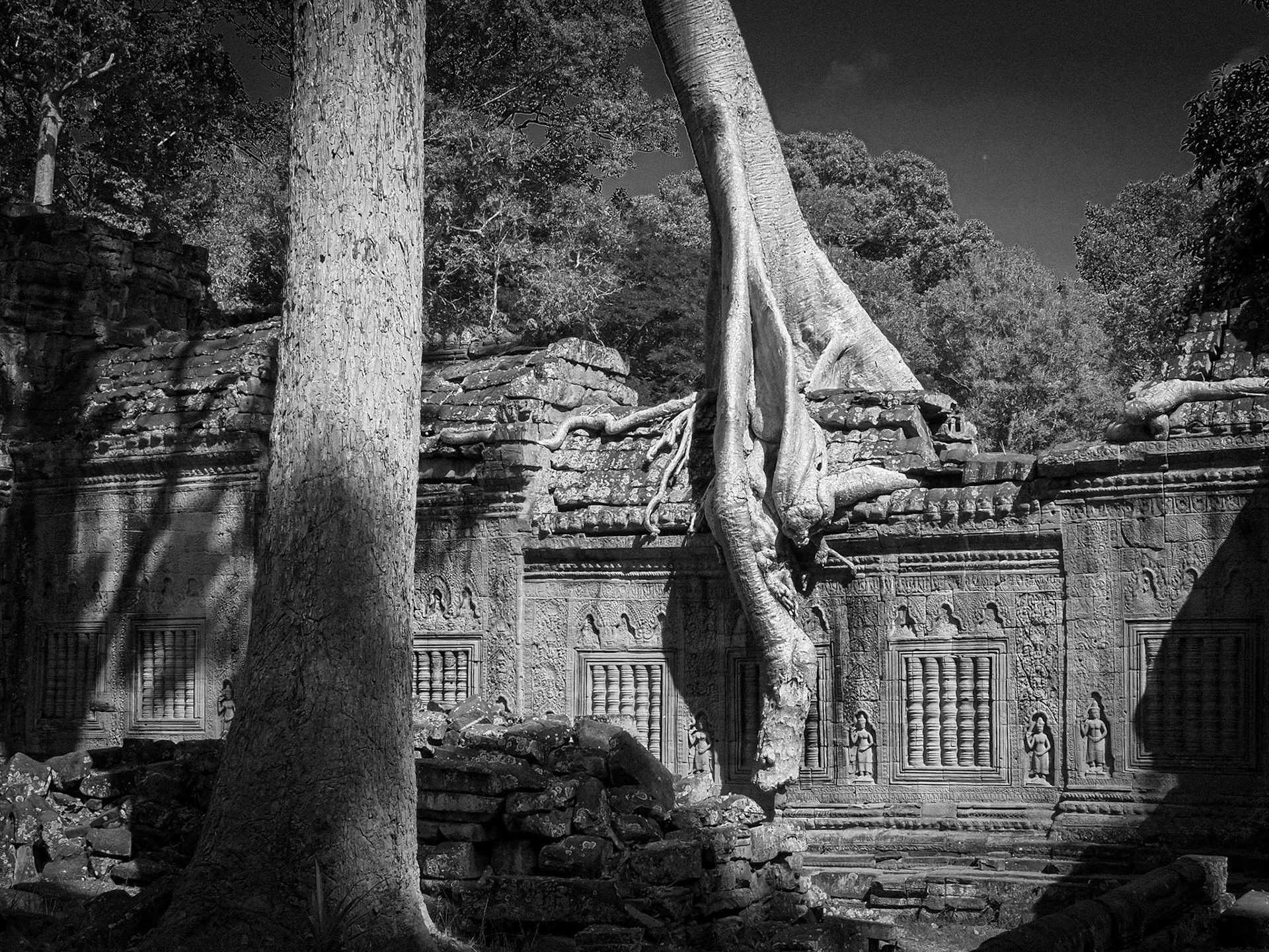 Siem Reap, Cambodia 2019