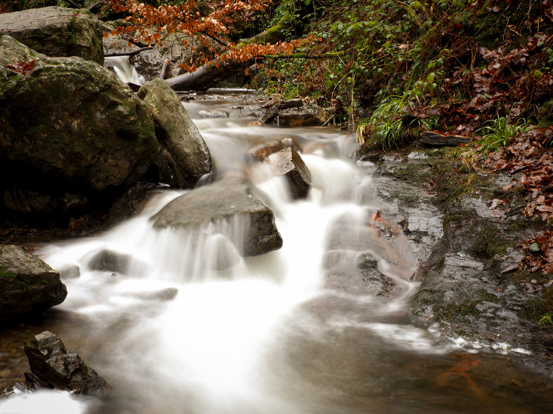 Ninglinspo Belgium 2020