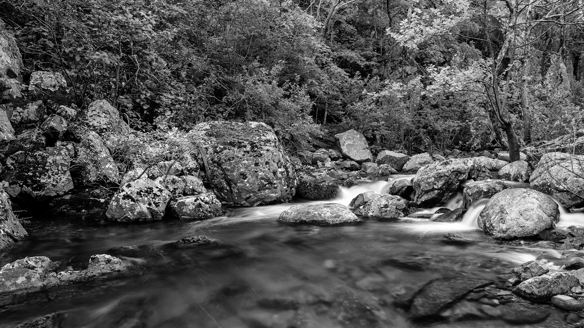 Cathedral Canyon #2 : Missouri, May 2015